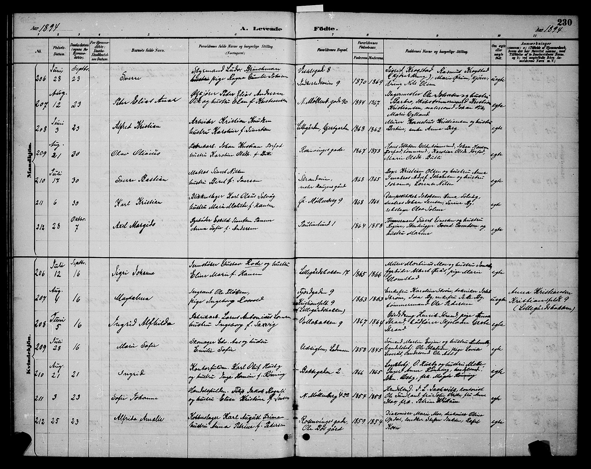 Ministerialprotokoller, klokkerbøker og fødselsregistre - Sør-Trøndelag, AV/SAT-A-1456/604/L0222: Parish register (copy) no. 604C05, 1886-1895, p. 230