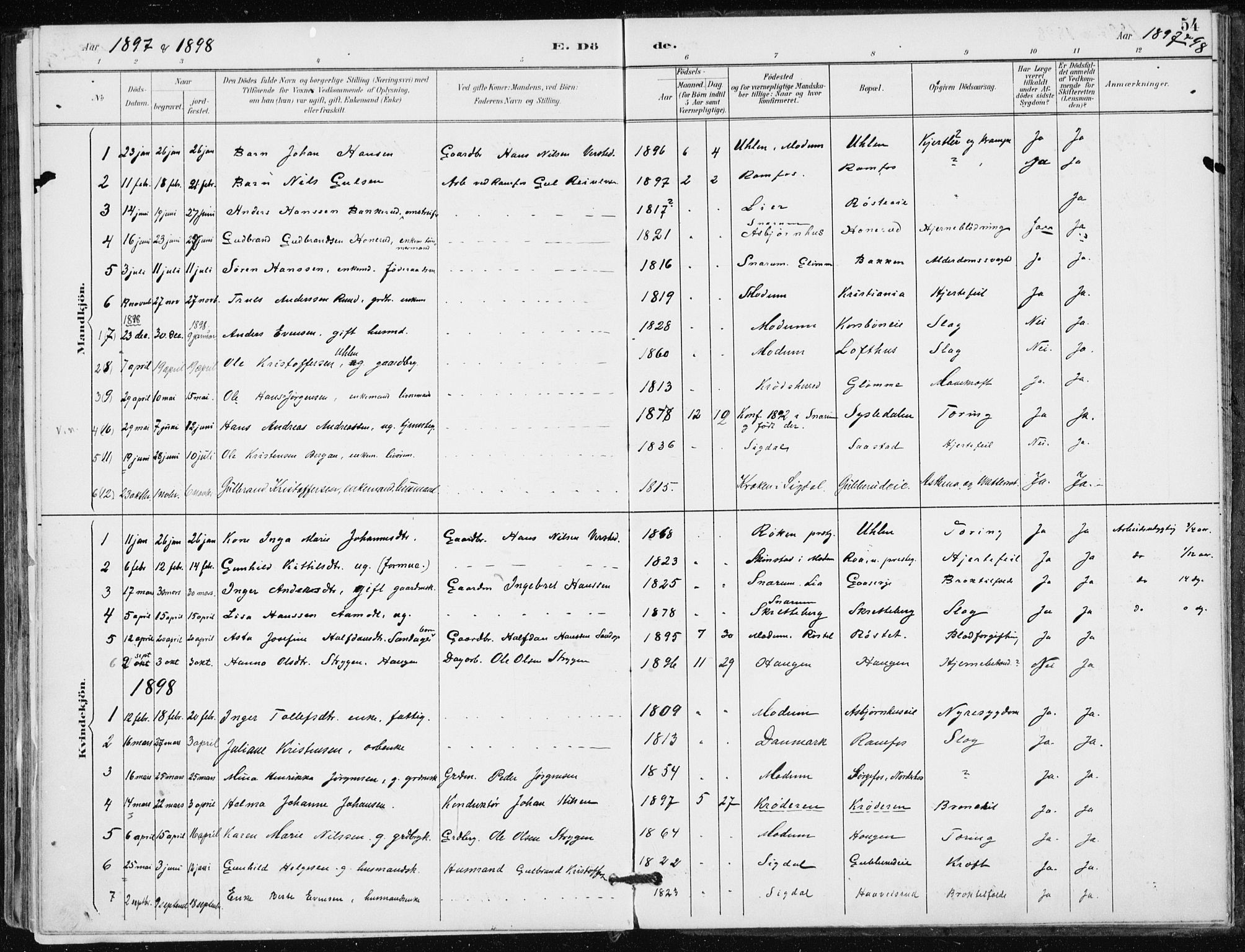 Modum kirkebøker, AV/SAKO-A-234/F/Fa/L0016: Parish register (official) no. 16, 1890-1899, p. 54