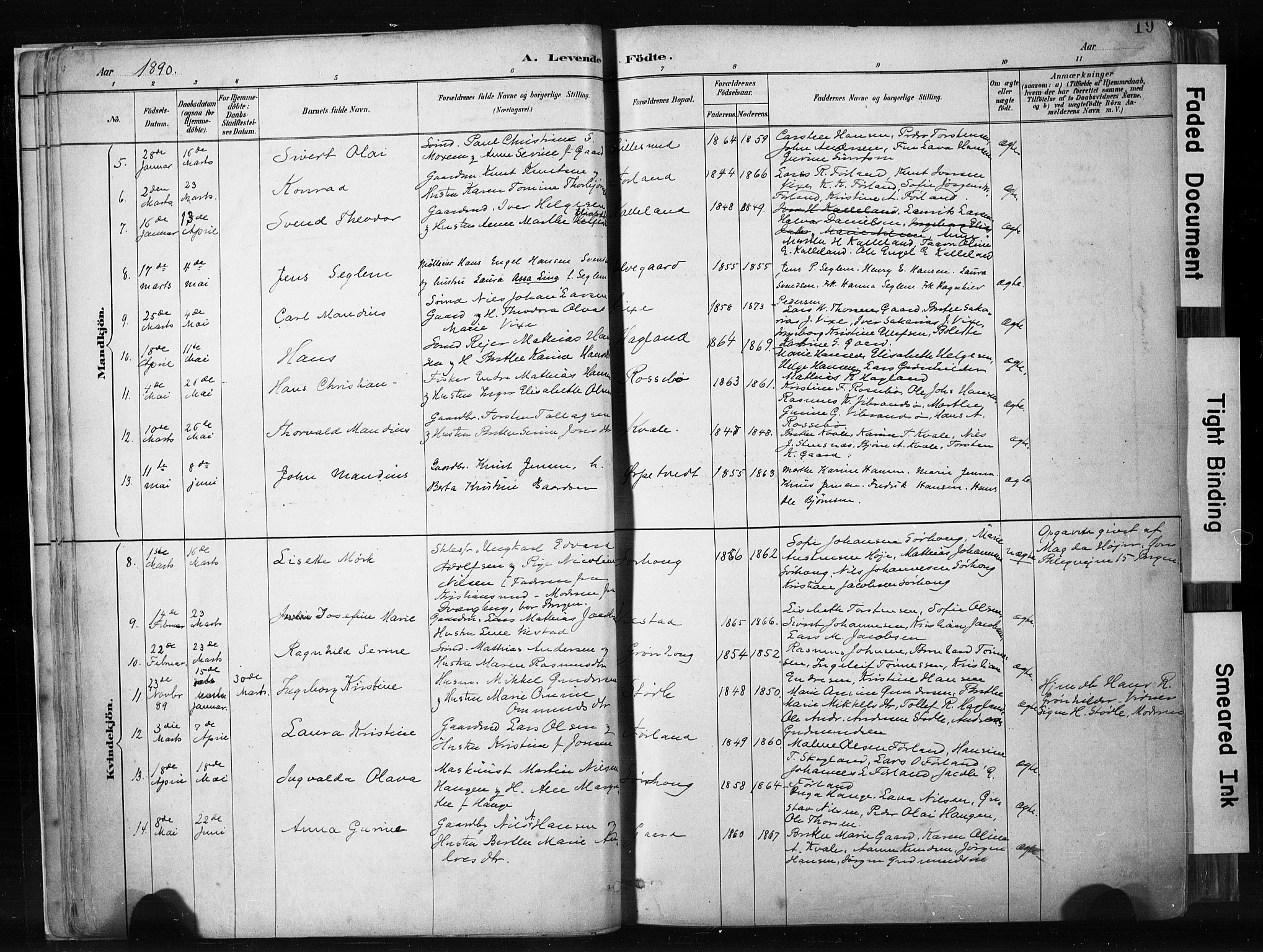 Haugesund sokneprestkontor, AV/SAST-A -101863/H/Ha/Haa/L0004: Parish register (official) no. A 4, 1886-1908, p. 19