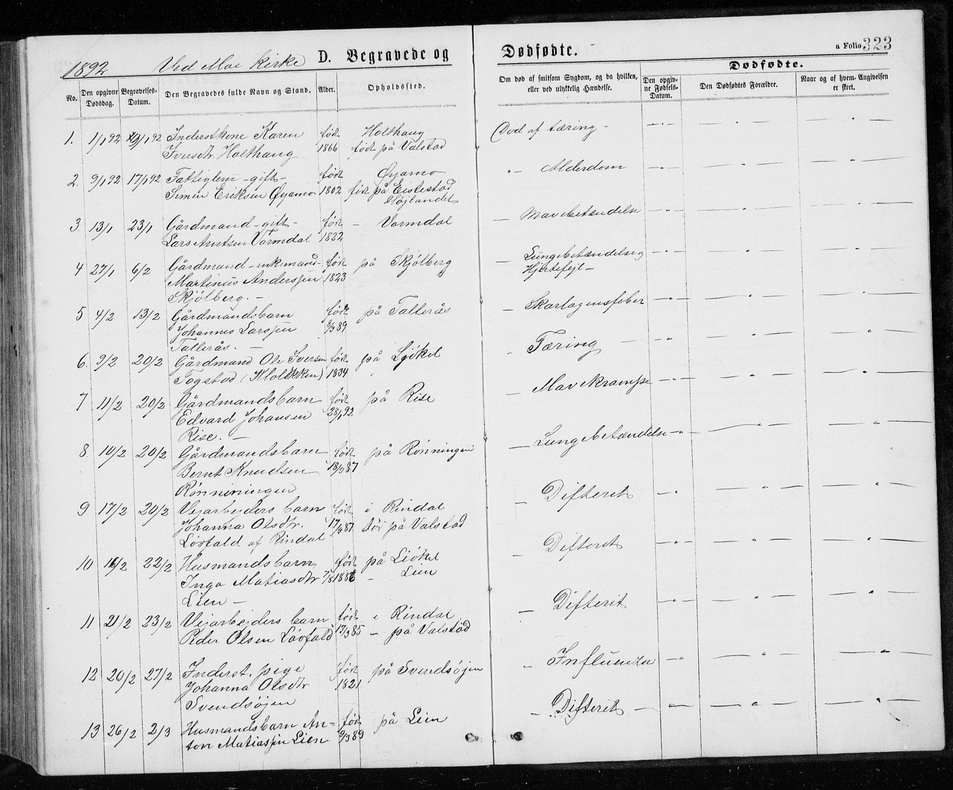 Ministerialprotokoller, klokkerbøker og fødselsregistre - Sør-Trøndelag, SAT/A-1456/671/L0843: Parish register (copy) no. 671C02, 1873-1892, p. 323