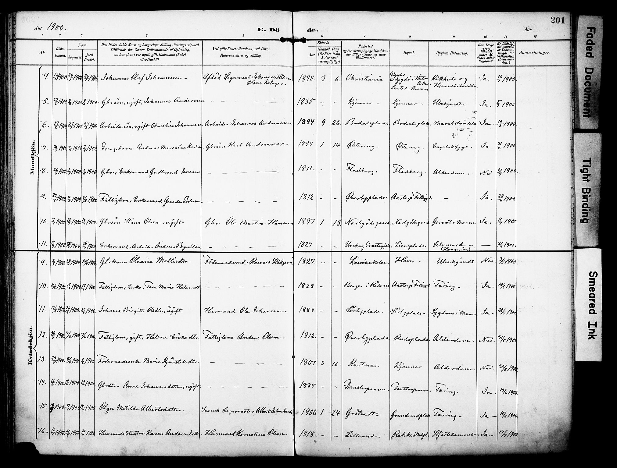 Rakkestad prestekontor Kirkebøker, AV/SAO-A-2008/F/Fa/L0013: Parish register (official) no. I 13, 1894-1908, p. 201