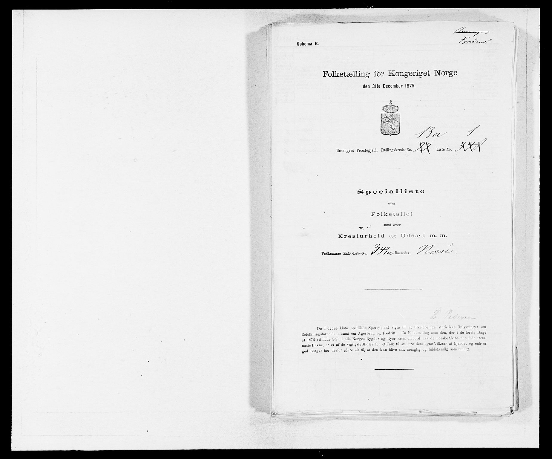 SAB, 1875 census for 1253P Hosanger, 1875, p. 907