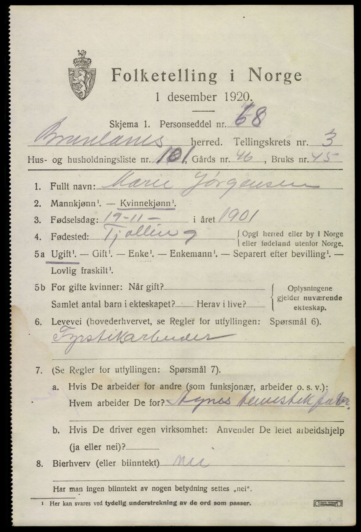 SAKO, 1920 census for Brunlanes, 1920, p. 6103