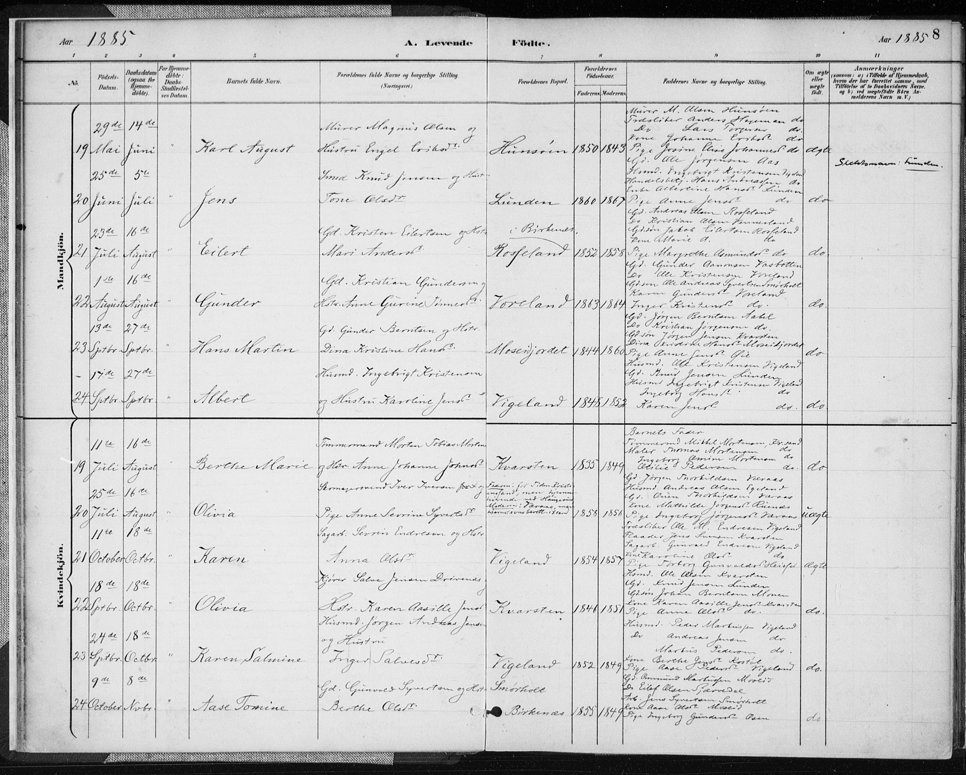 Vennesla sokneprestkontor, AV/SAK-1111-0045/Fa/Fab/L0004: Parish register (official) no. A 4, 1884-1896, p. 8