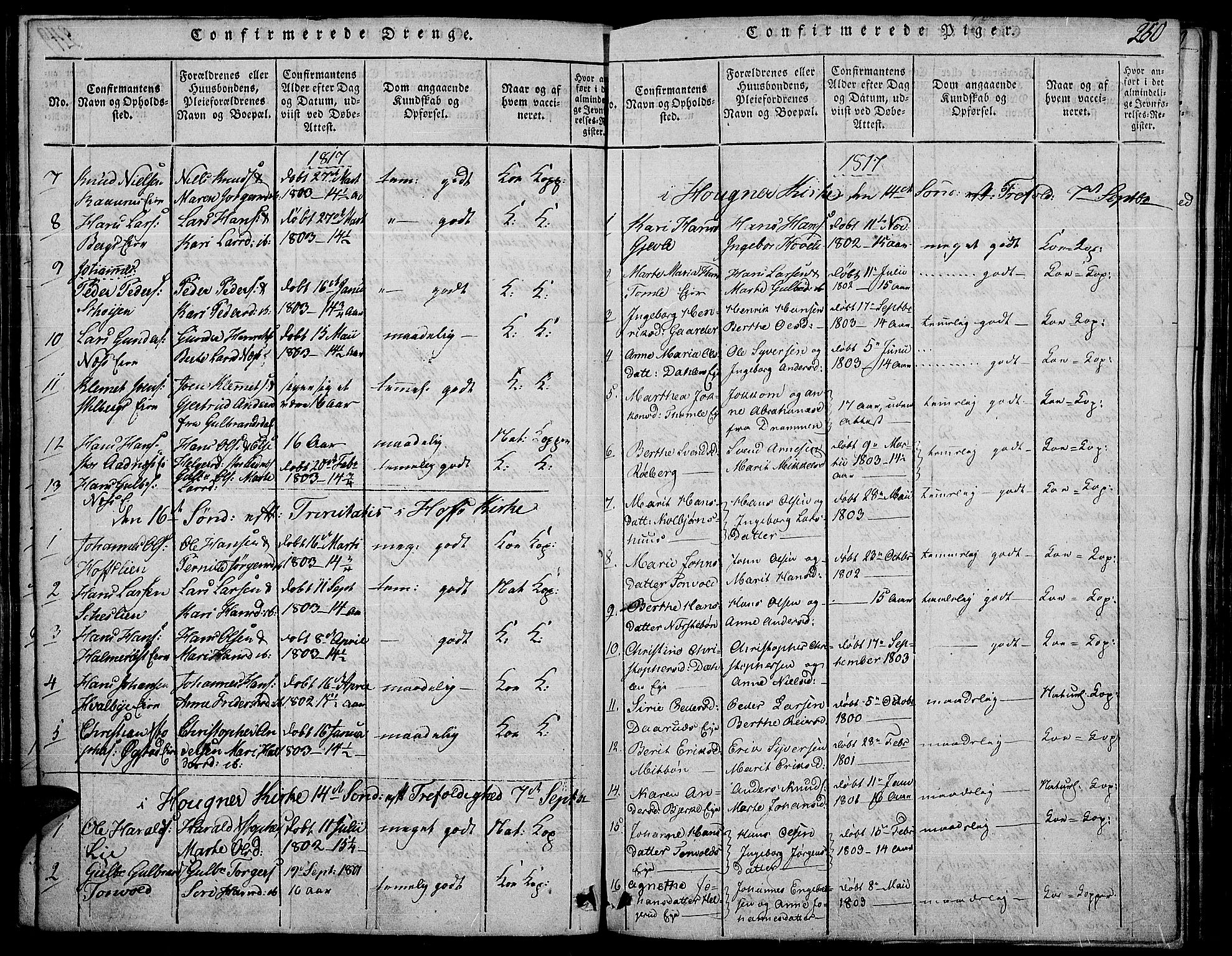 Land prestekontor, SAH/PREST-120/H/Ha/Haa/L0007: Parish register (official) no. 7, 1814-1830, p. 250a