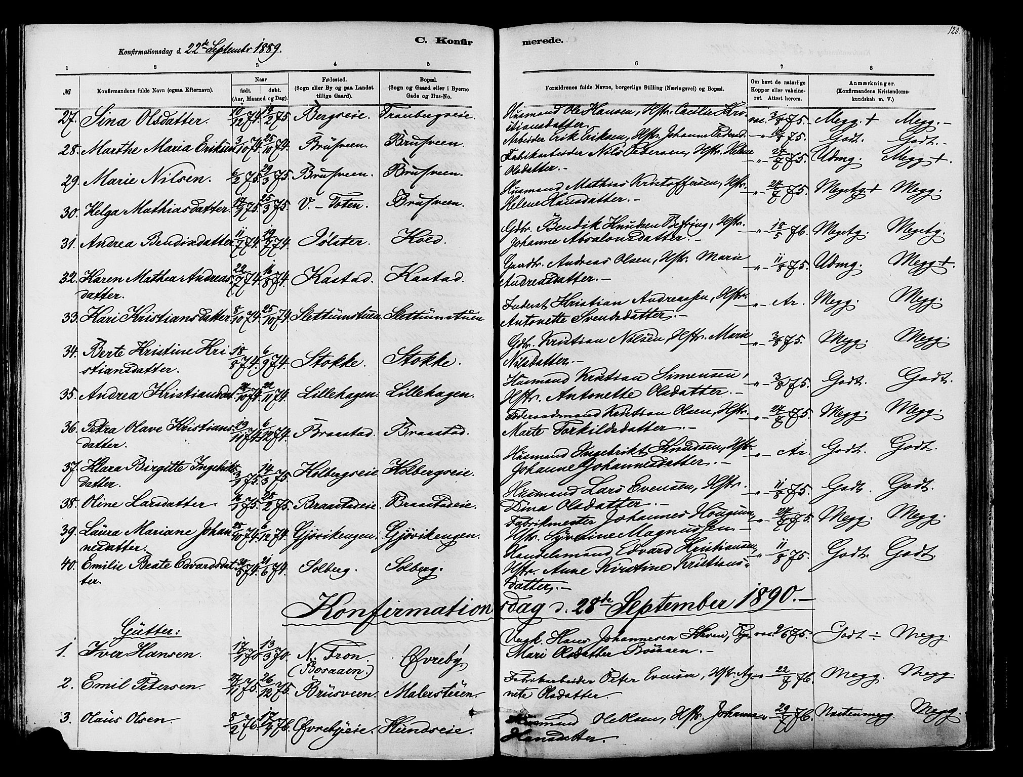 Vardal prestekontor, SAH/PREST-100/H/Ha/Haa/L0009: Parish register (official) no. 9, 1878-1892, p. 120