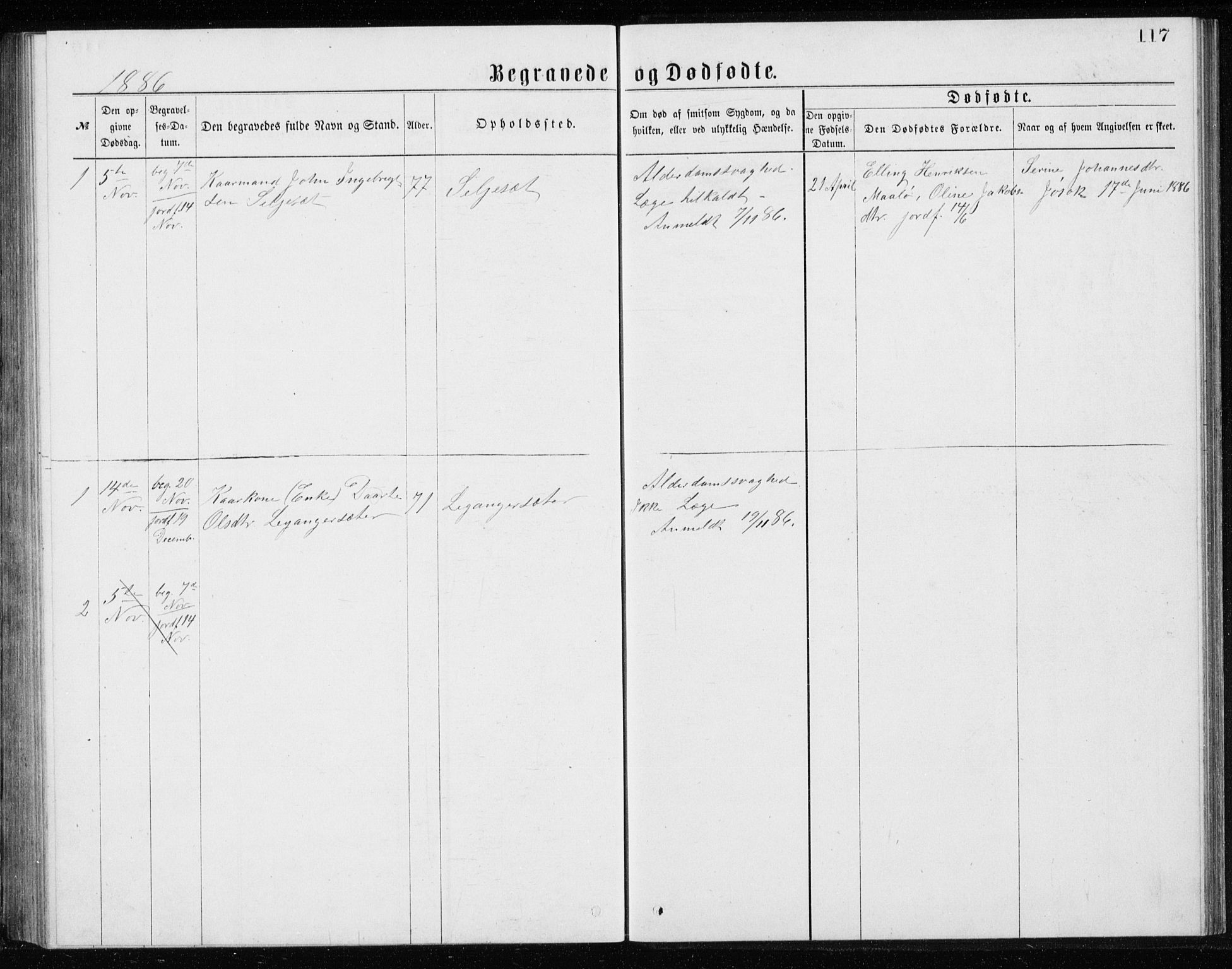 Ministerialprotokoller, klokkerbøker og fødselsregistre - Møre og Romsdal, AV/SAT-A-1454/508/L0097: Parish register (copy) no. 508C01, 1873-1897, p. 117