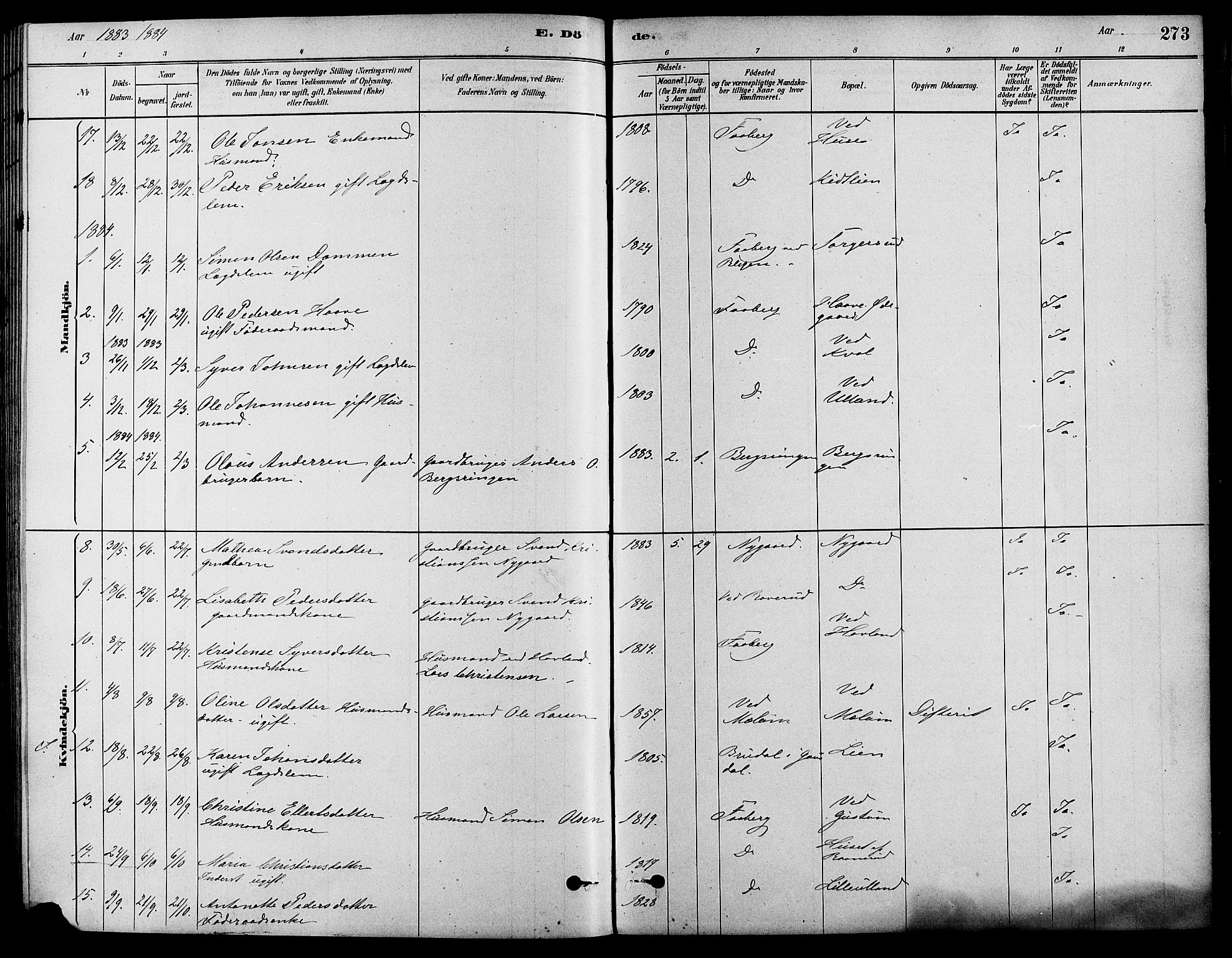 Fåberg prestekontor, SAH/PREST-086/H/Ha/Haa/L0008: Parish register (official) no. 8, 1879-1898, p. 273