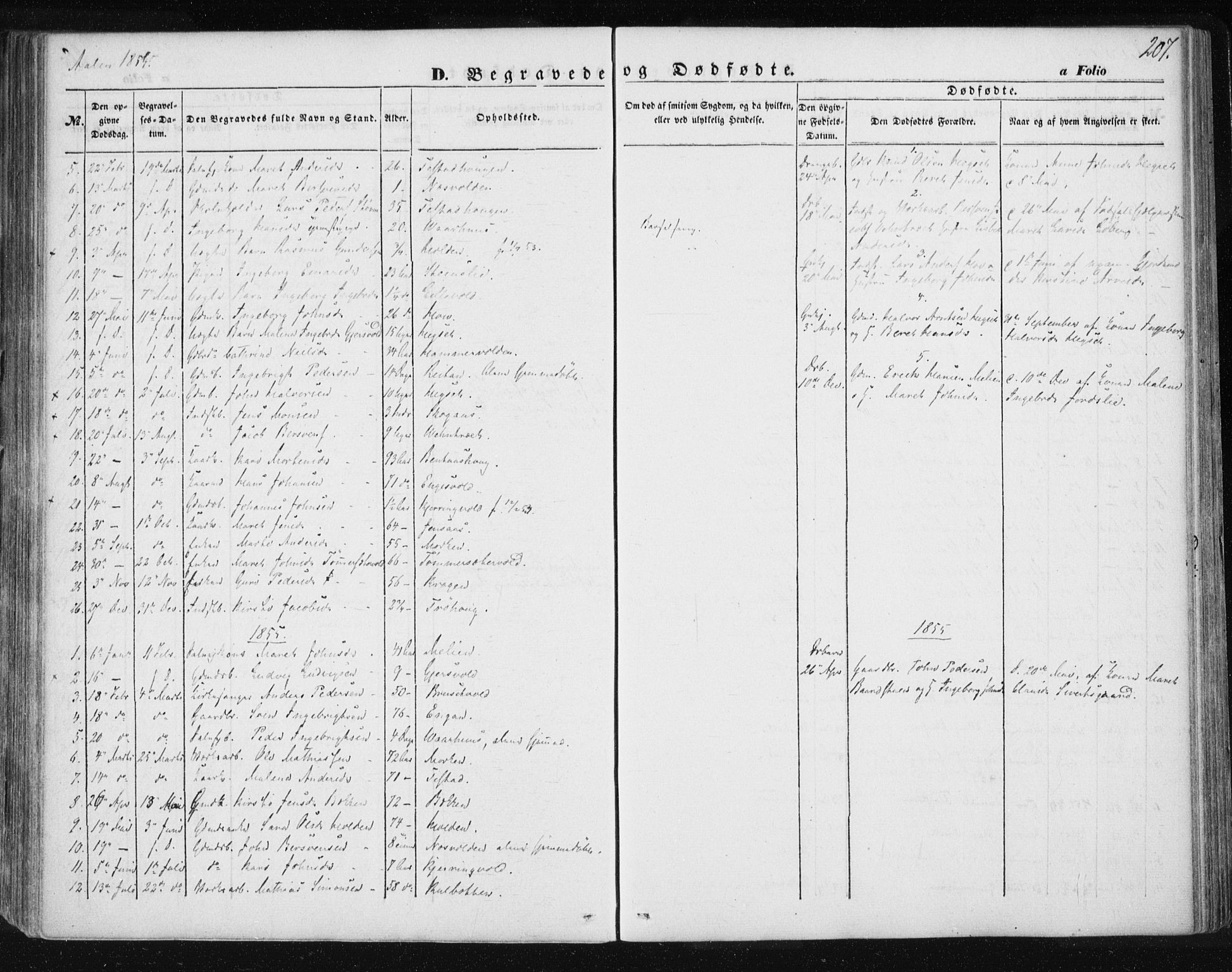 Ministerialprotokoller, klokkerbøker og fødselsregistre - Sør-Trøndelag, SAT/A-1456/685/L0965: Parish register (official) no. 685A06 /3, 1846-1859, p. 207