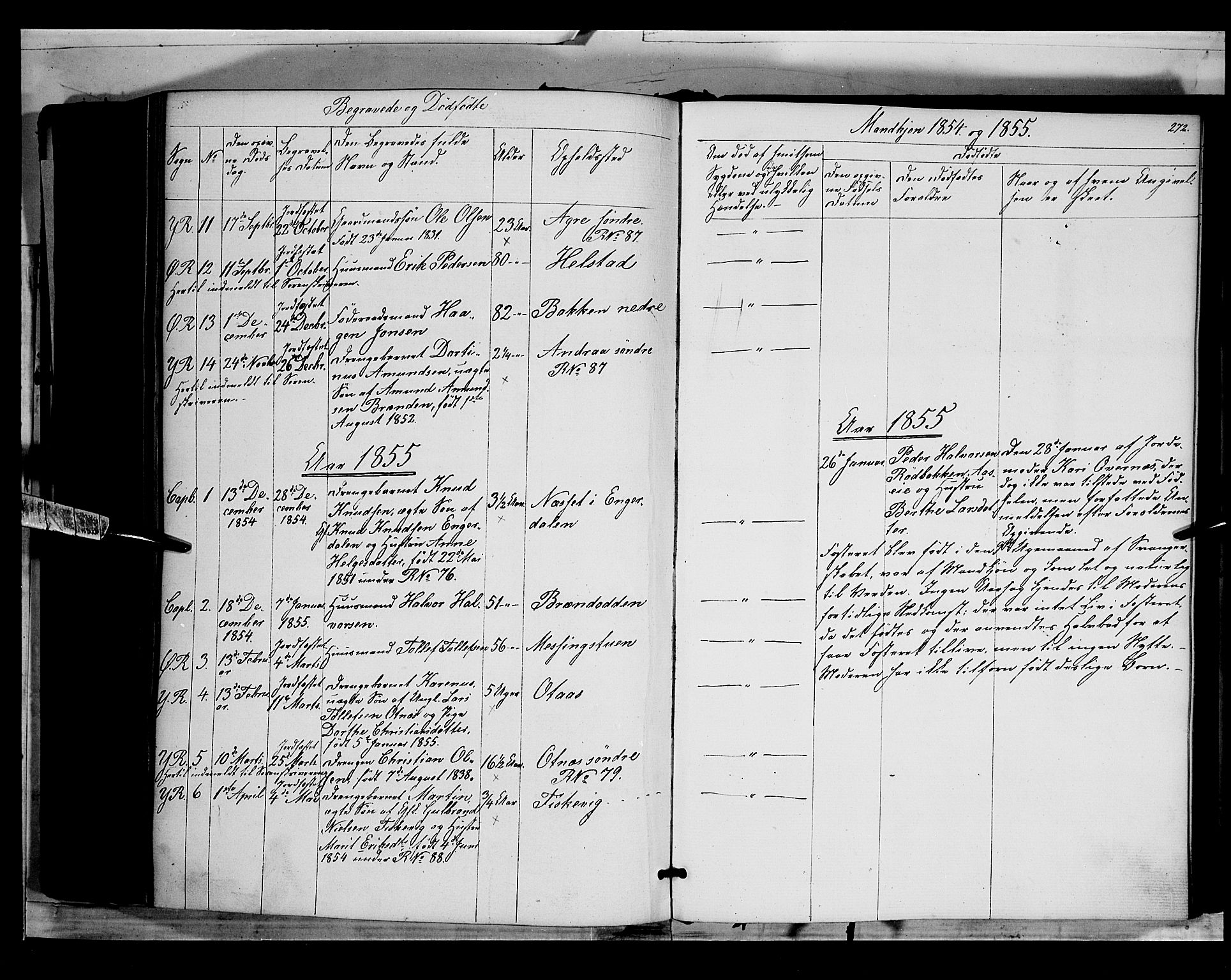 Rendalen prestekontor, SAH/PREST-054/H/Ha/Haa/L0005: Parish register (official) no. 5, 1853-1866, p. 272
