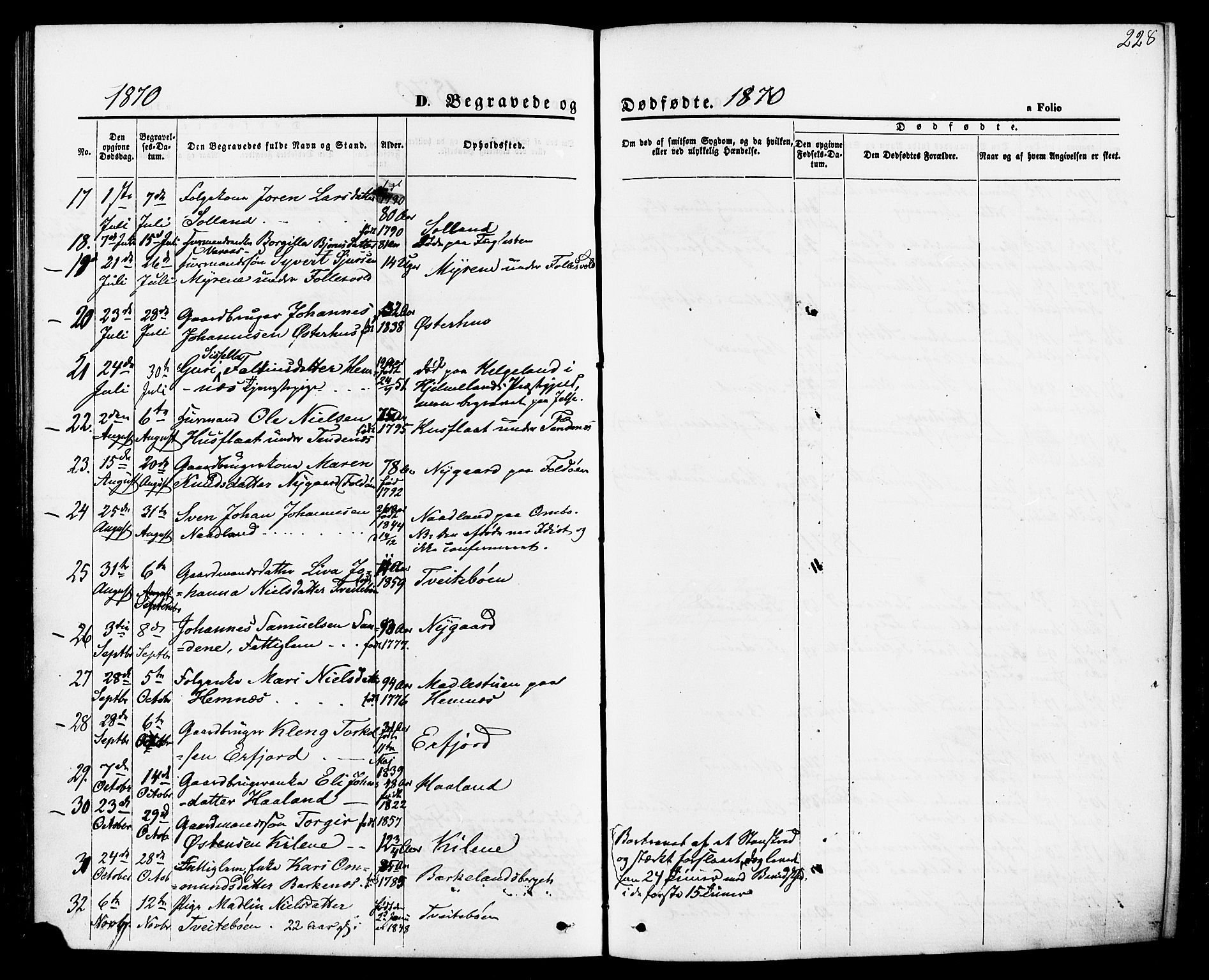 Jelsa sokneprestkontor, AV/SAST-A-101842/01/IV: Parish register (official) no. A 8, 1867-1883, p. 228