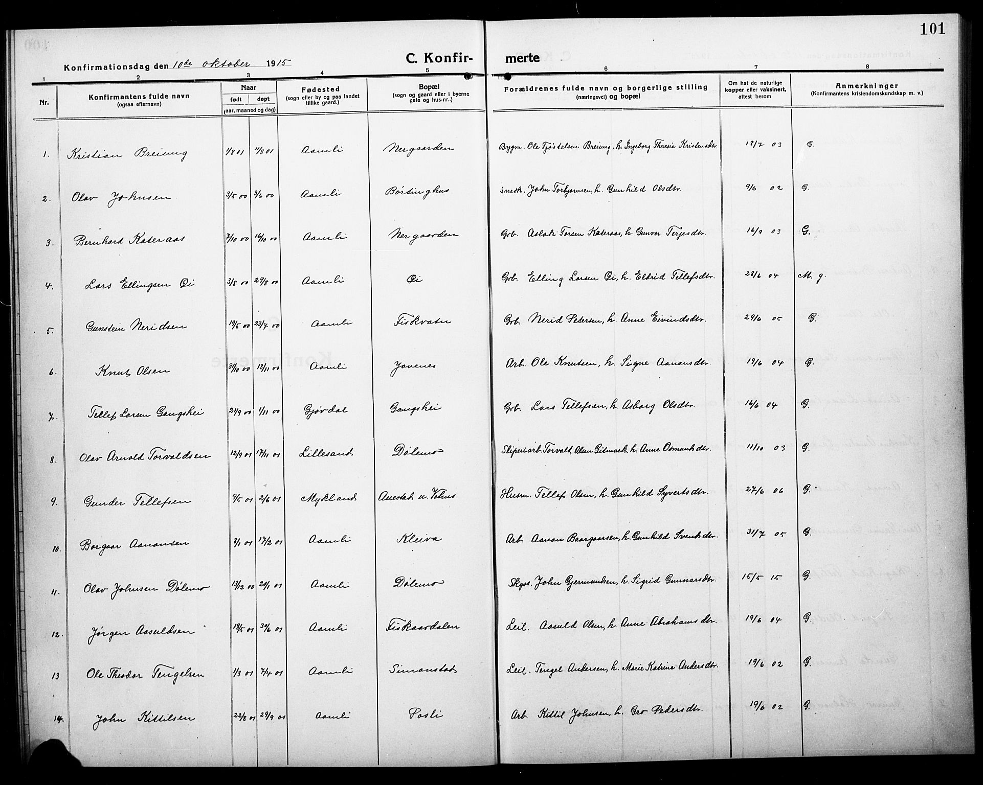 Åmli sokneprestkontor, SAK/1111-0050/F/Fb/Fbc/L0006: Parish register (copy) no. B 6, 1915-1929, p. 101