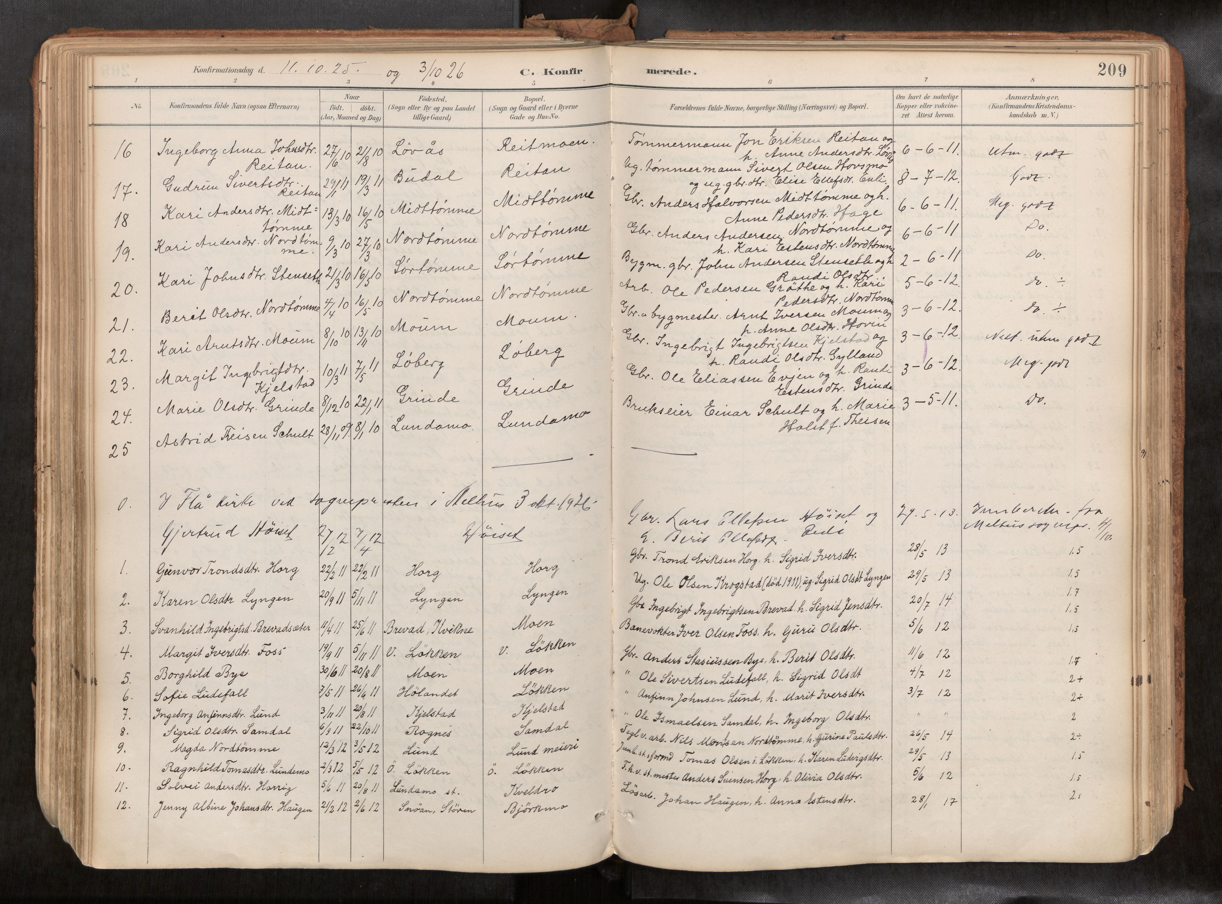 Ministerialprotokoller, klokkerbøker og fødselsregistre - Sør-Trøndelag, SAT/A-1456/692/L1105b: Parish register (official) no. 692A06, 1891-1934, p. 209