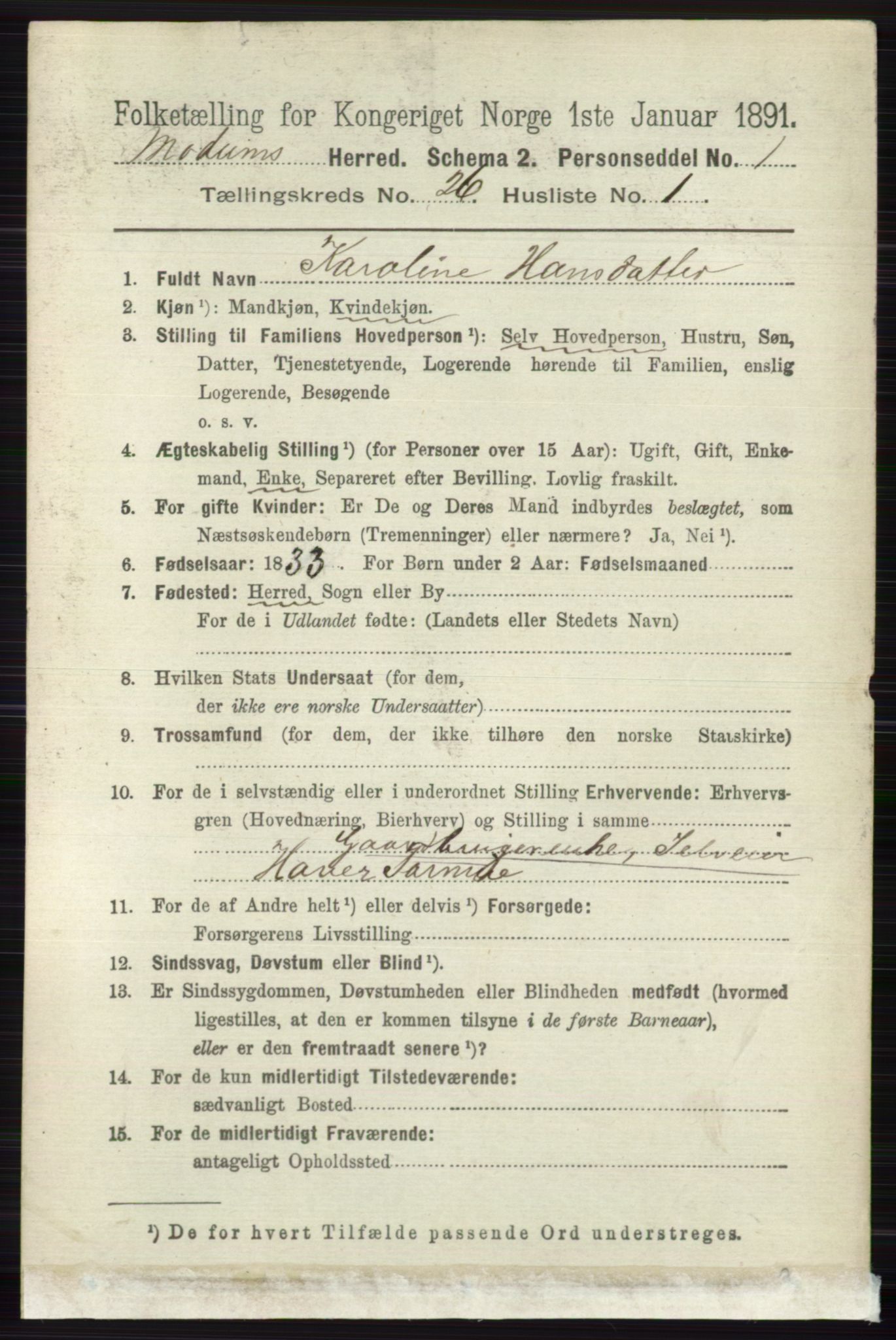 RA, 1891 census for 0623 Modum, 1891, p. 9394
