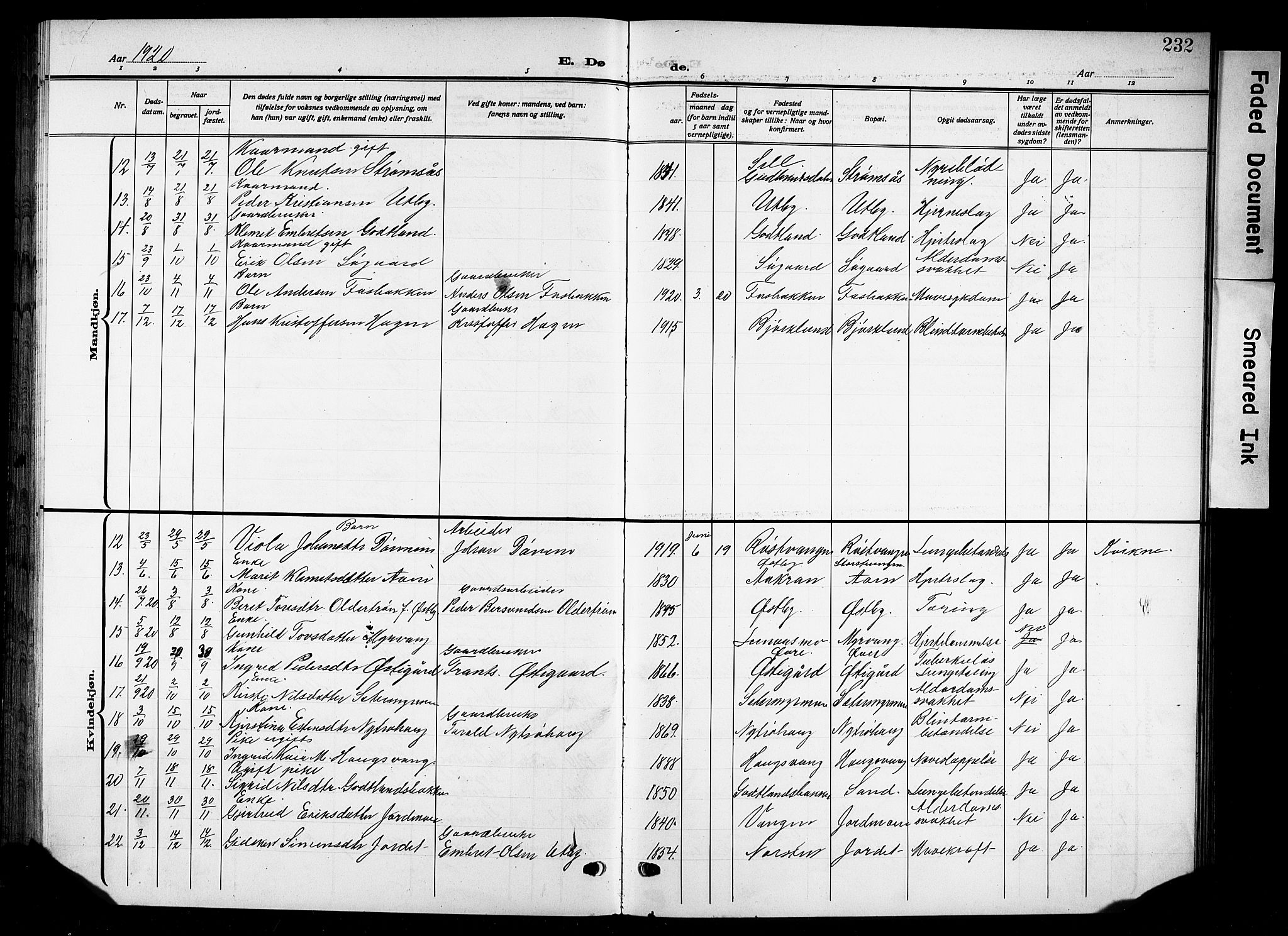 Tynset prestekontor, AV/SAH-PREST-058/H/Ha/Hab/L0011: Parish register (copy) no. 11, 1915-1930, p. 232