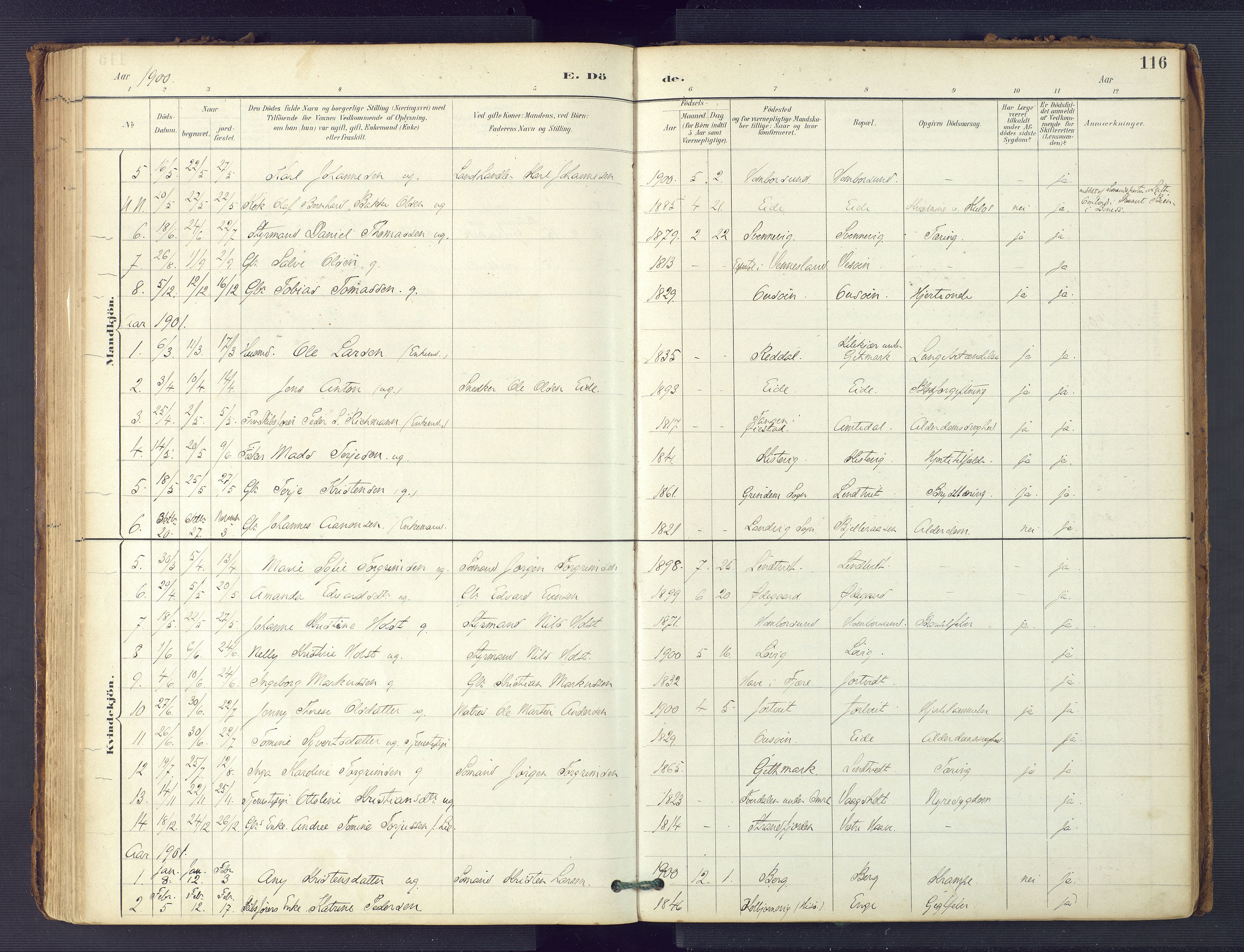 Hommedal sokneprestkontor, SAK/1111-0023/F/Fa/Faa/L0003: Parish register (official) no. A 3, 1885-1916, p. 116