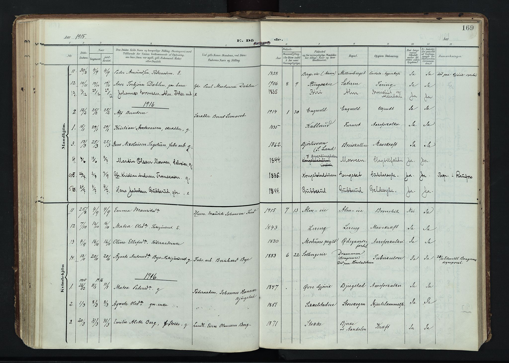 Vardal prestekontor, AV/SAH-PREST-100/H/Ha/Haa/L0020: Parish register (official) no. 20, 1907-1921, p. 169