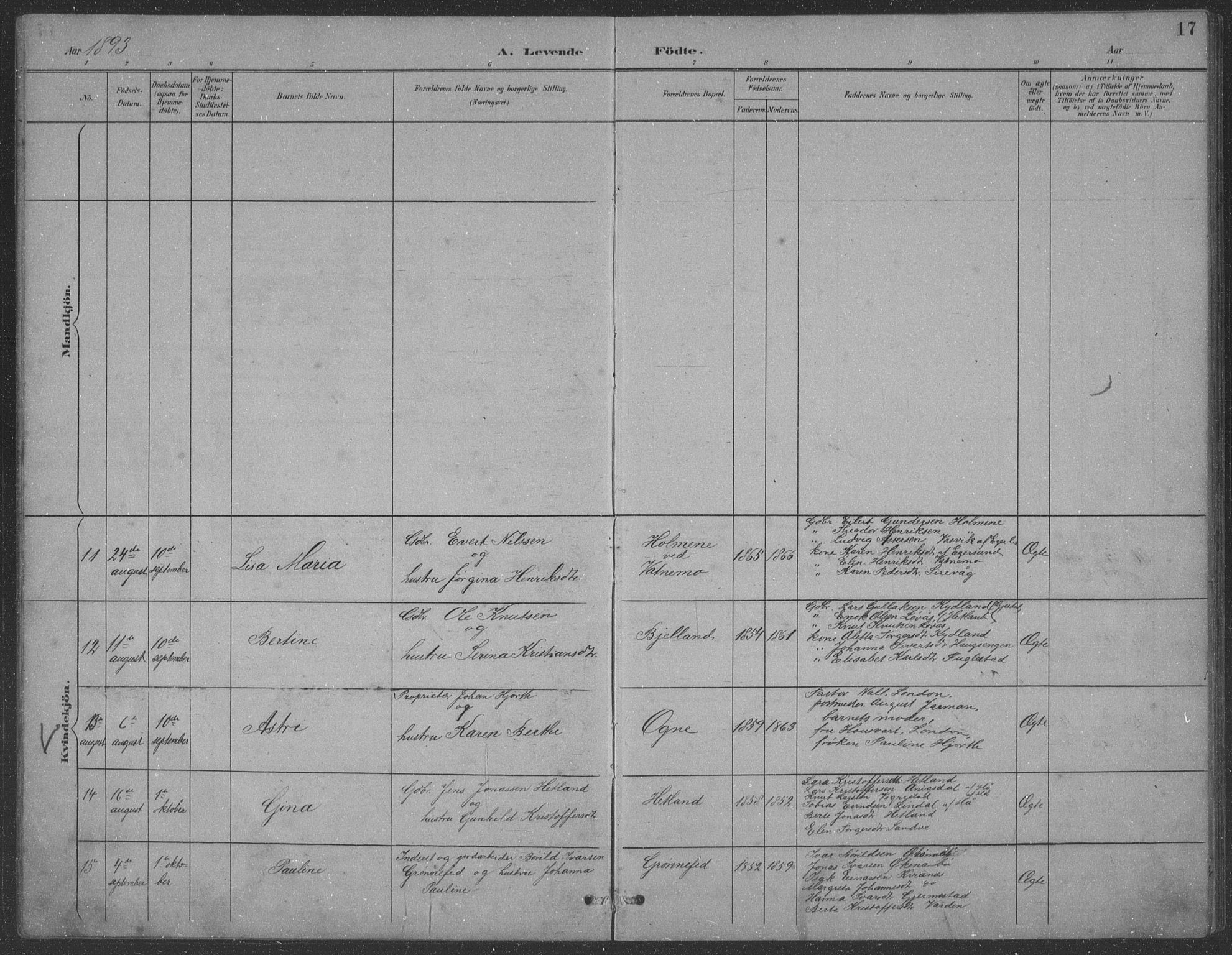 Eigersund sokneprestkontor, SAST/A-101807/S09: Parish register (copy) no. B 21, 1890-1915, p. 17