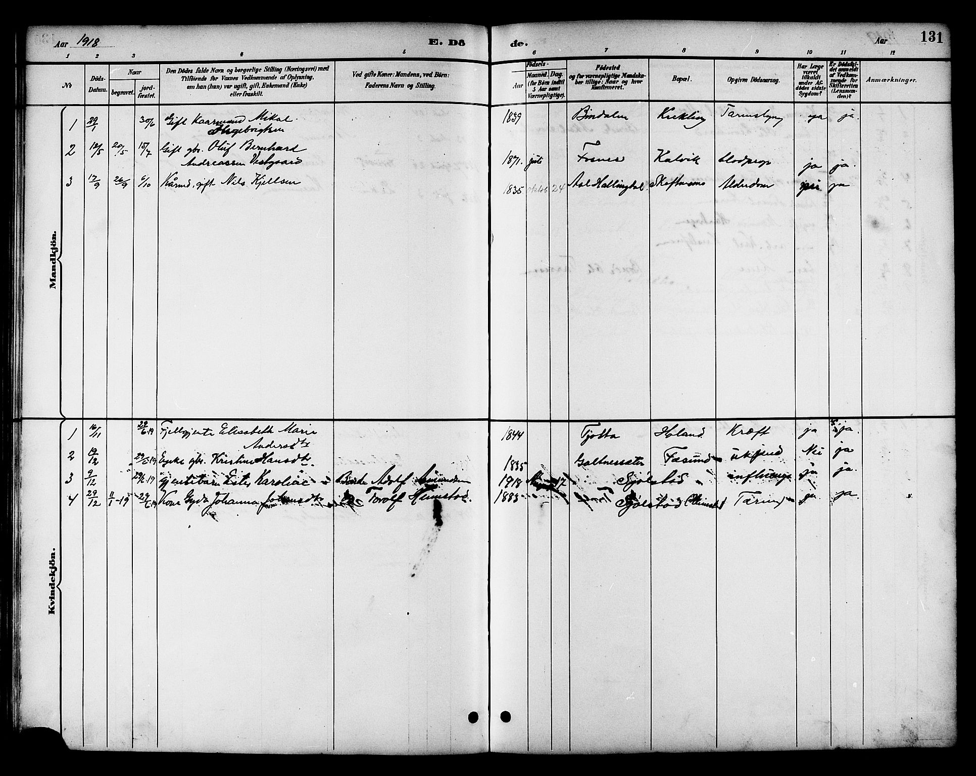 Ministerialprotokoller, klokkerbøker og fødselsregistre - Nord-Trøndelag, SAT/A-1458/783/L0662: Parish register (copy) no. 783C02, 1894-1919, p. 131