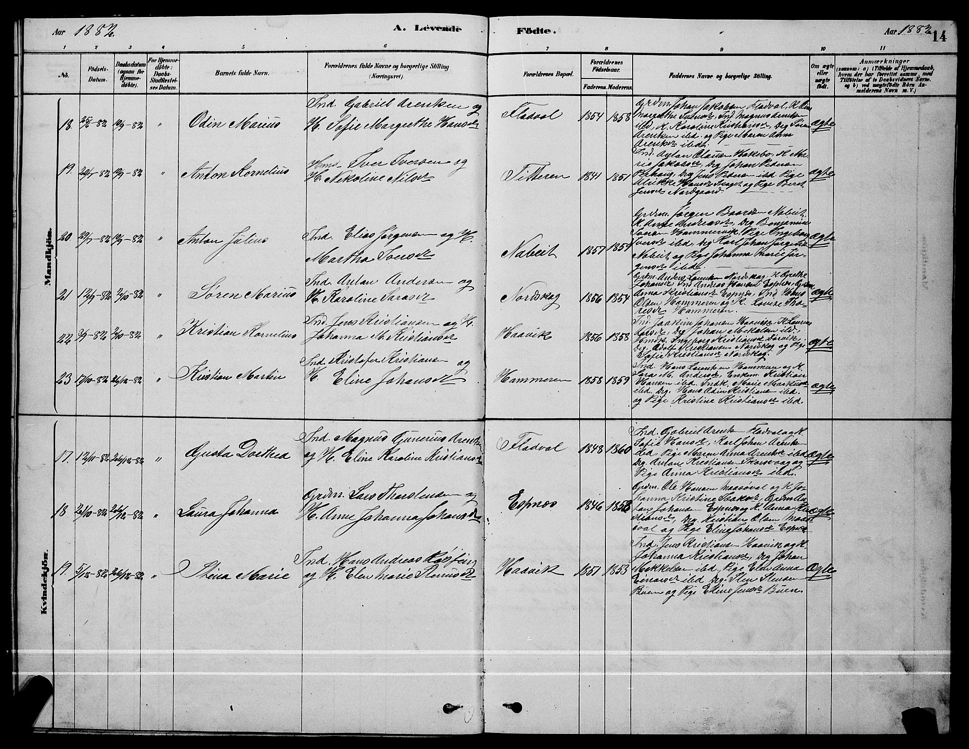 Ministerialprotokoller, klokkerbøker og fødselsregistre - Sør-Trøndelag, SAT/A-1456/641/L0597: Parish register (copy) no. 641C01, 1878-1893, p. 14