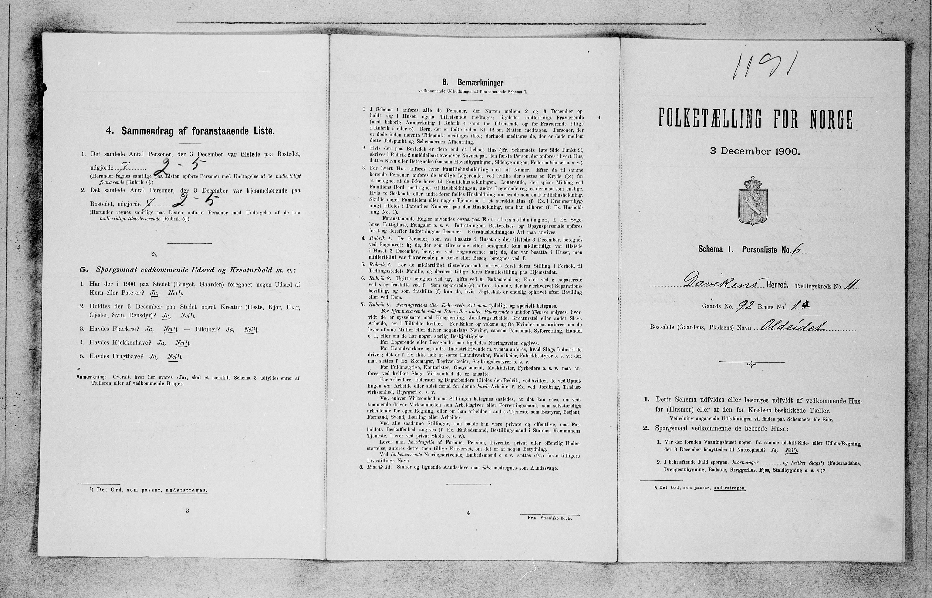 SAB, 1900 census for Davik, 1900, p. 796