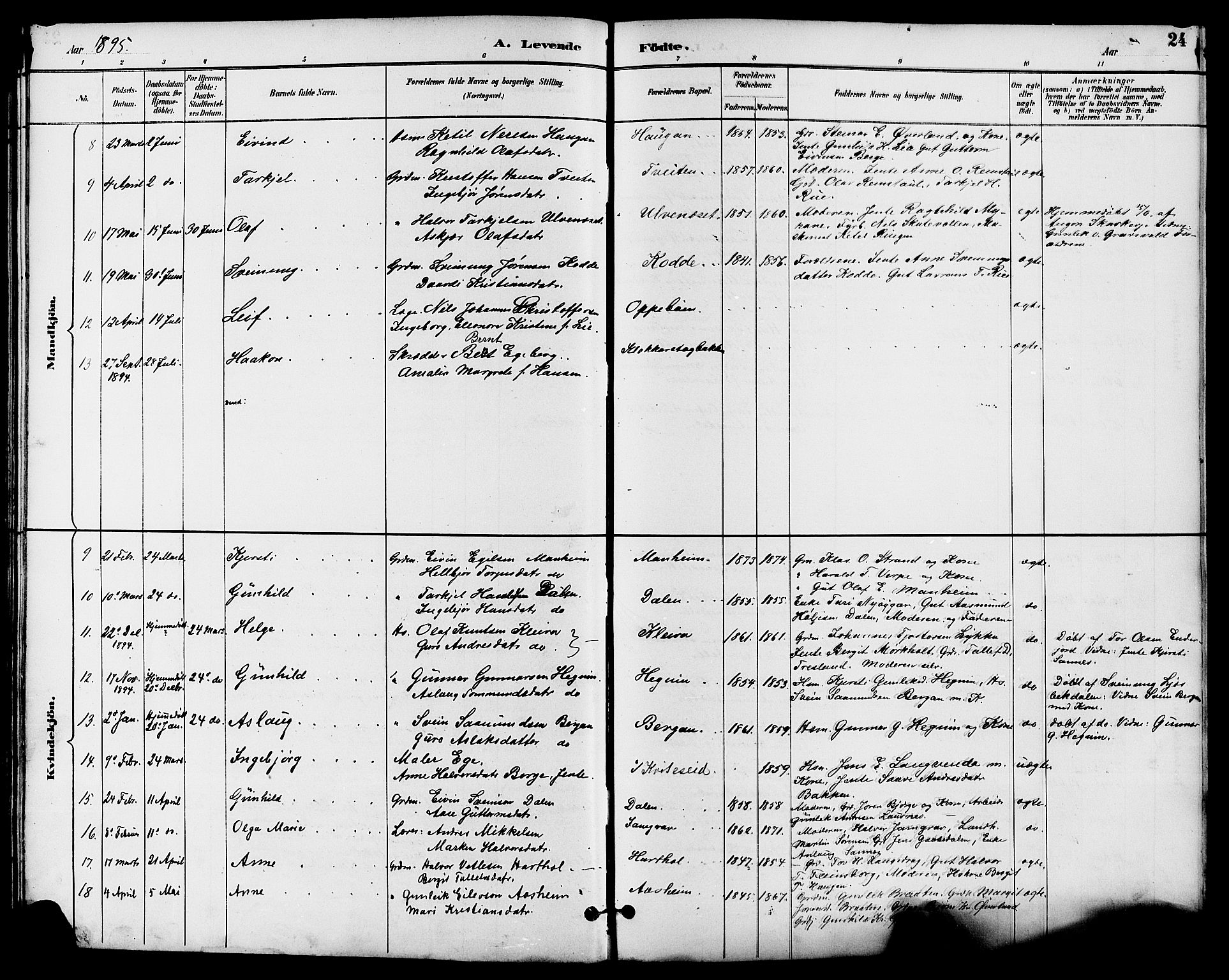 Seljord kirkebøker, AV/SAKO-A-20/G/Ga/L0005: Parish register (copy) no. I 5, 1887-1914, p. 24