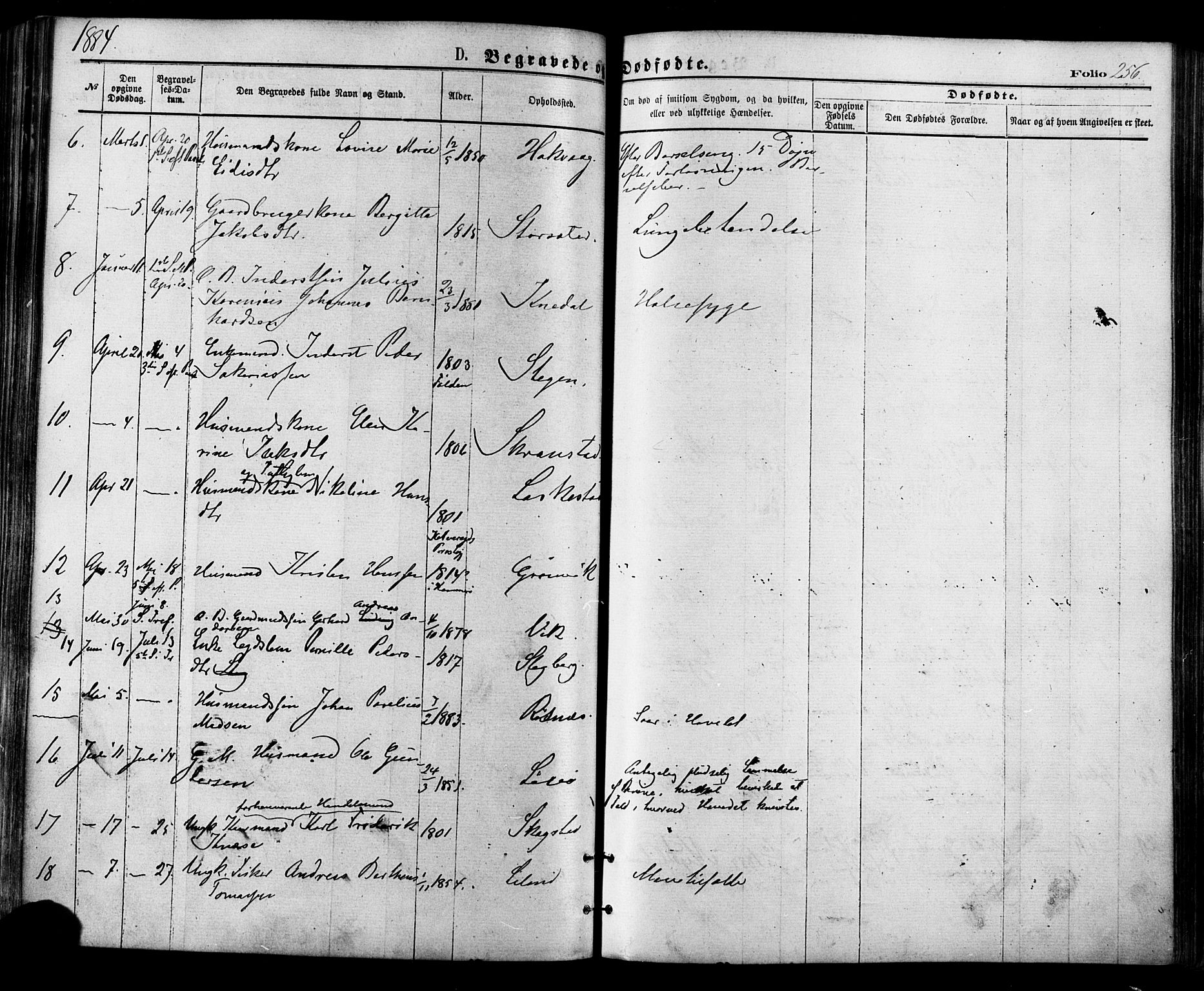 Ministerialprotokoller, klokkerbøker og fødselsregistre - Nordland, SAT/A-1459/855/L0802: Parish register (official) no. 855A10, 1875-1886, p. 256