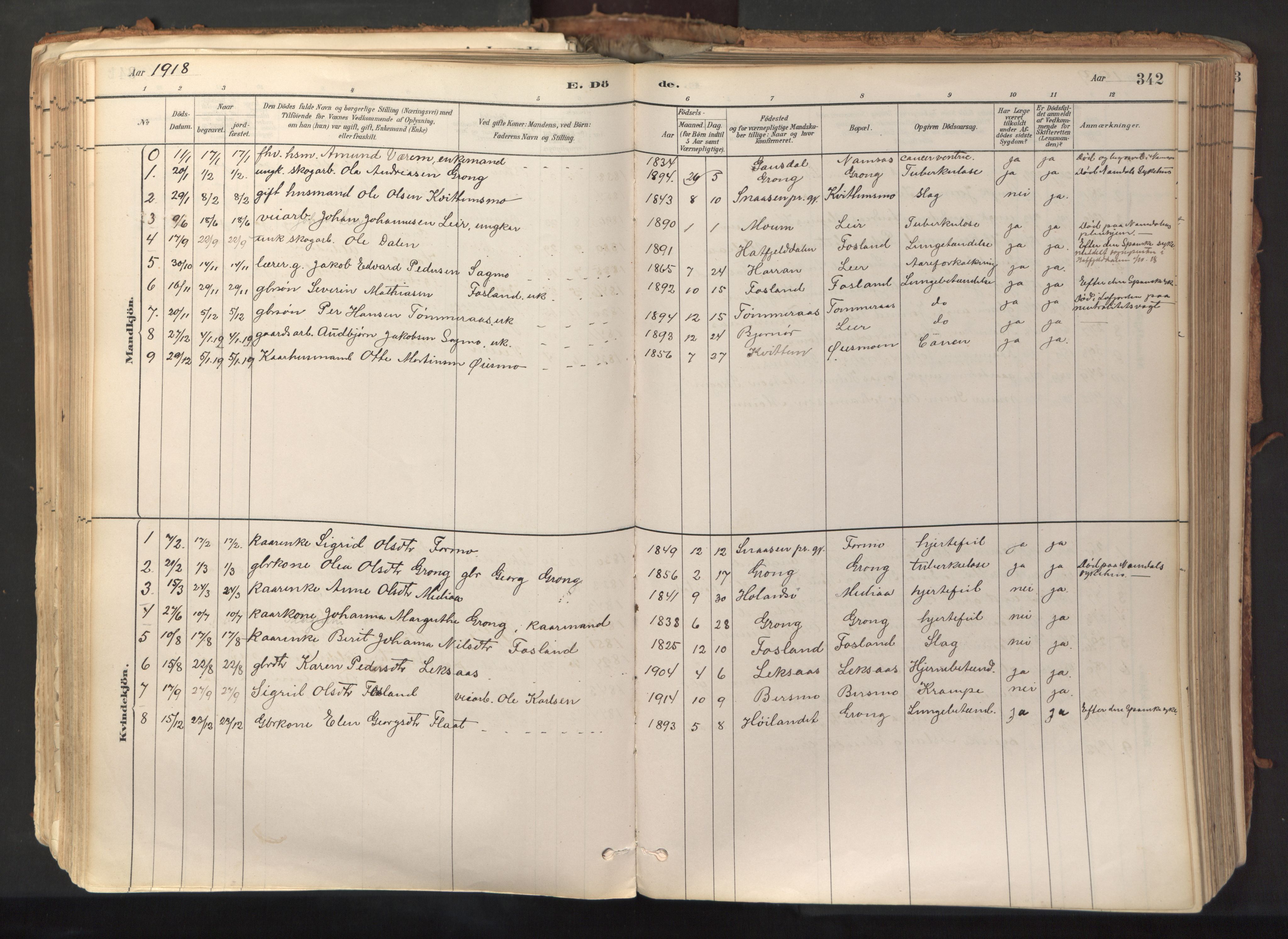 Ministerialprotokoller, klokkerbøker og fødselsregistre - Nord-Trøndelag, AV/SAT-A-1458/758/L0519: Parish register (official) no. 758A04, 1880-1926, p. 342