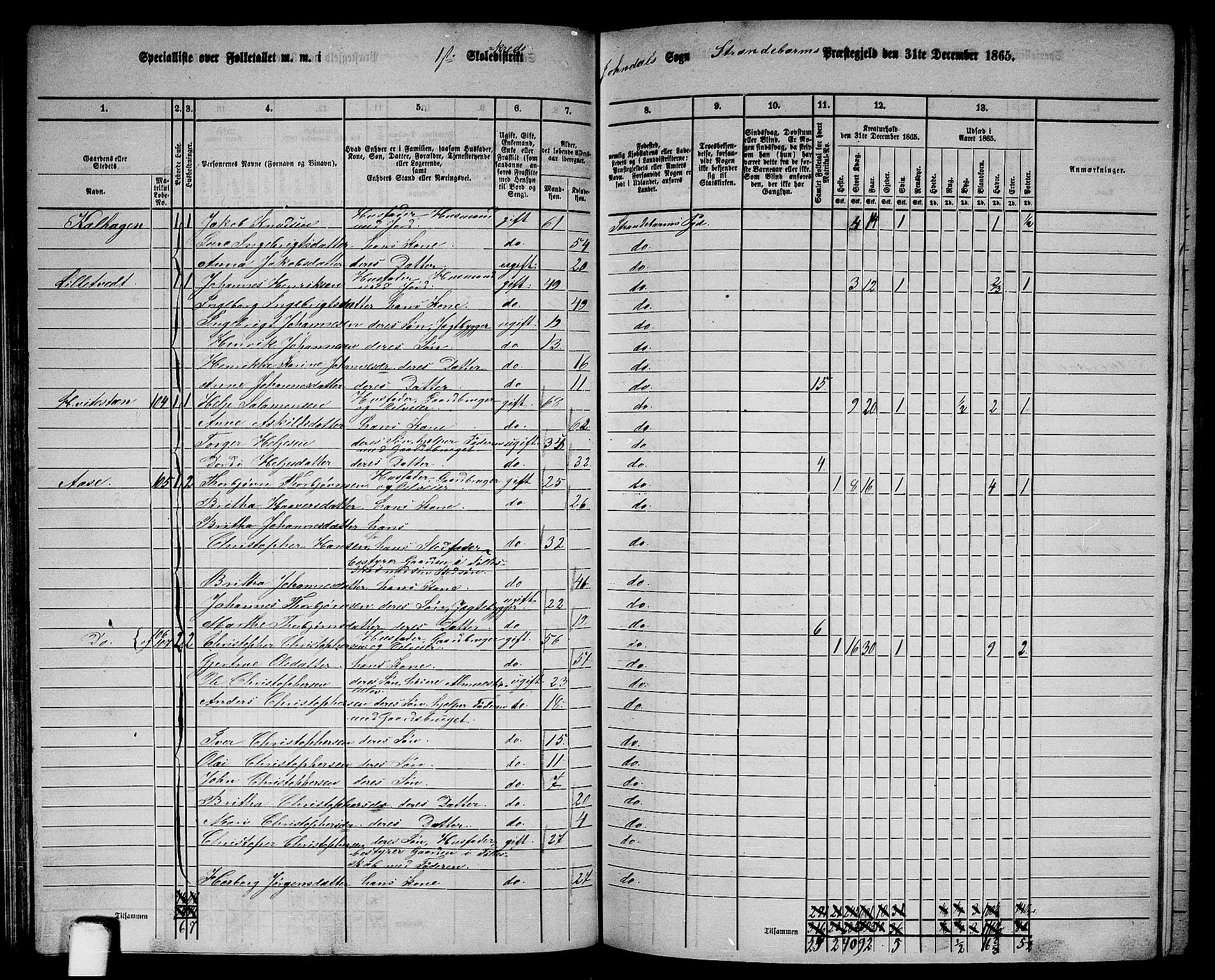 RA, 1865 census for Strandebarm, 1865, p. 100