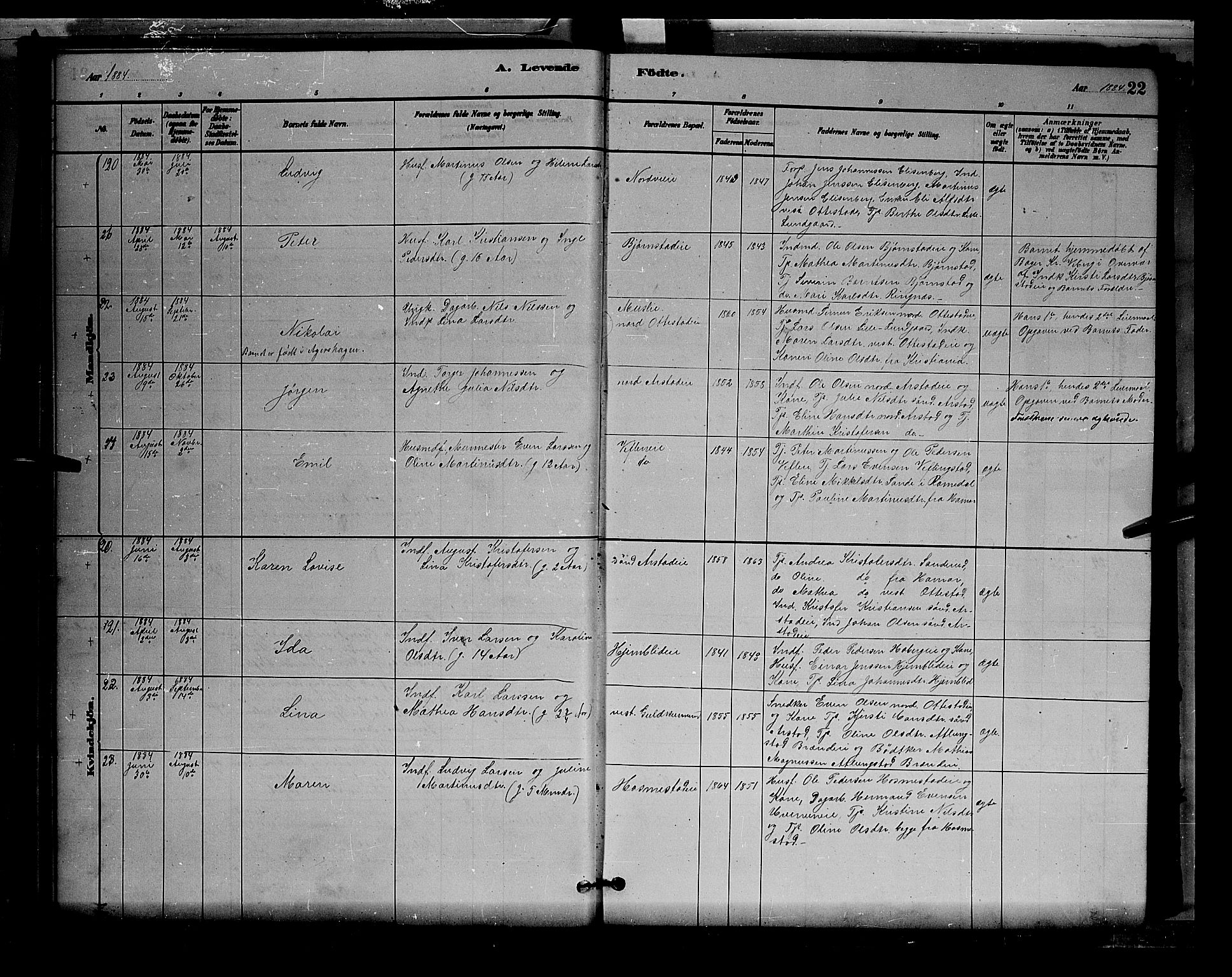 Stange prestekontor, AV/SAH-PREST-002/L/L0007: Parish register (copy) no. 7, 1880-1893, p. 22