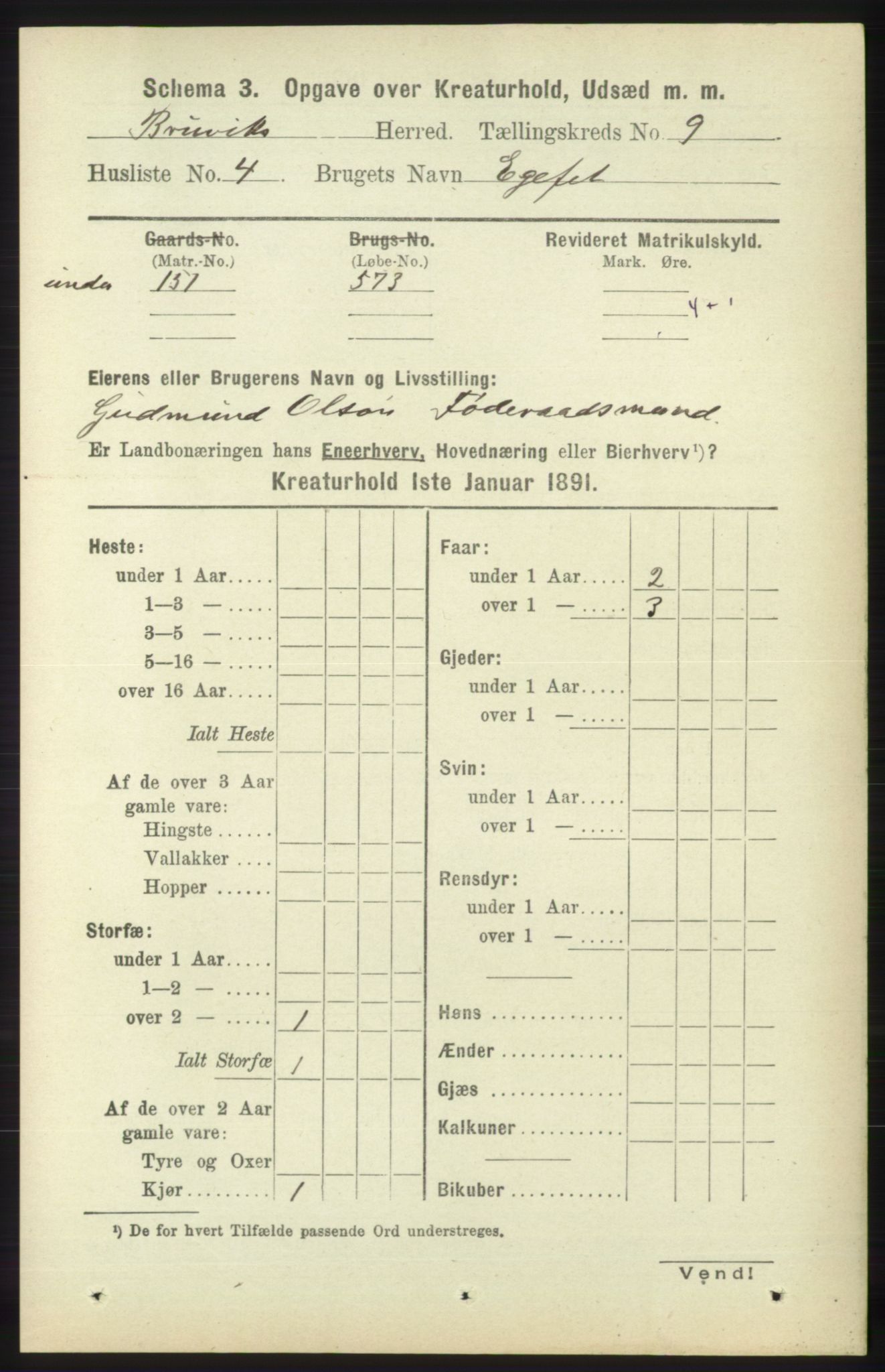 RA, 1891 census for 1251 Bruvik, 1891, p. 4807