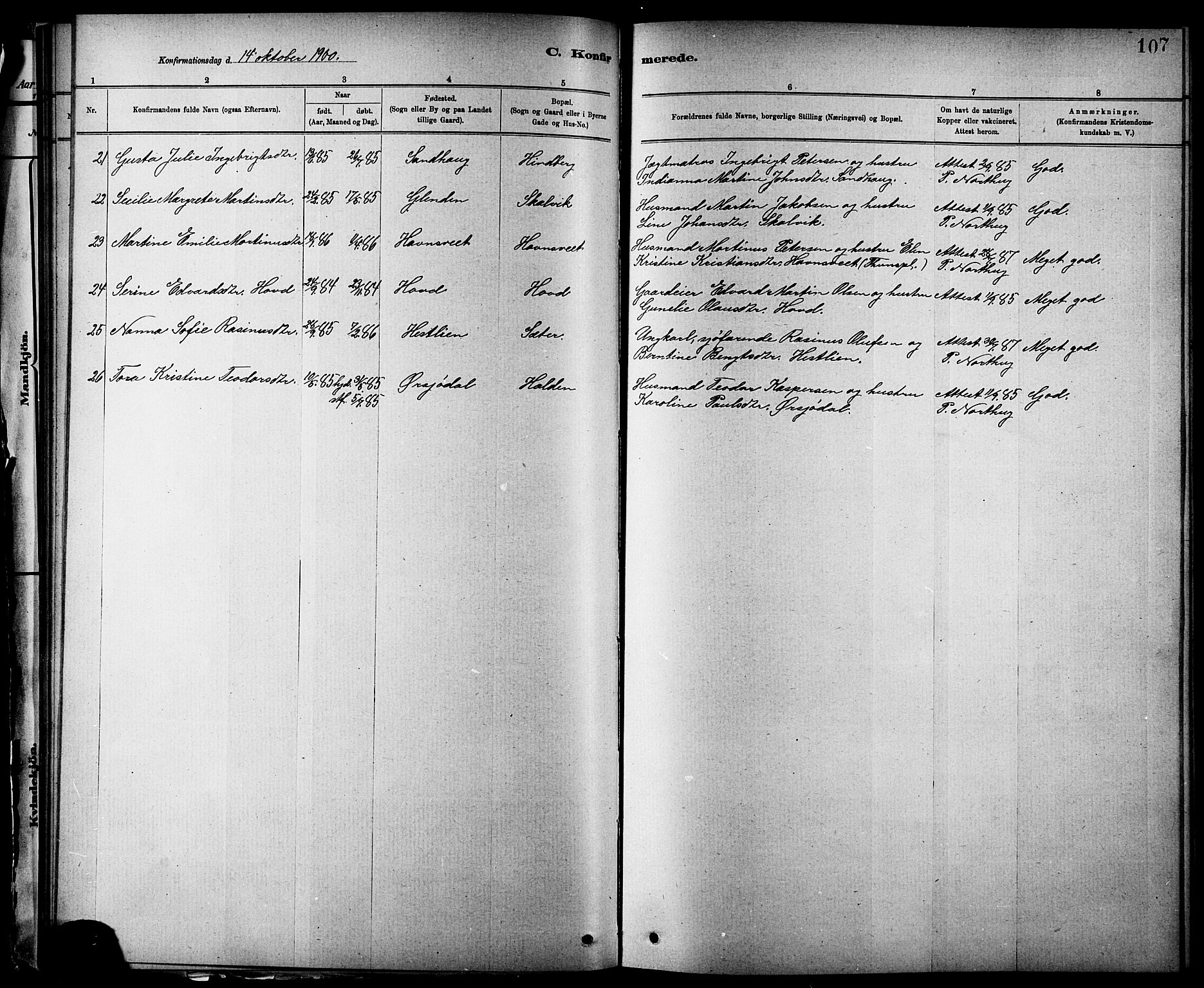 Ministerialprotokoller, klokkerbøker og fødselsregistre - Nord-Trøndelag, AV/SAT-A-1458/744/L0423: Parish register (copy) no. 744C02, 1886-1905, p. 107