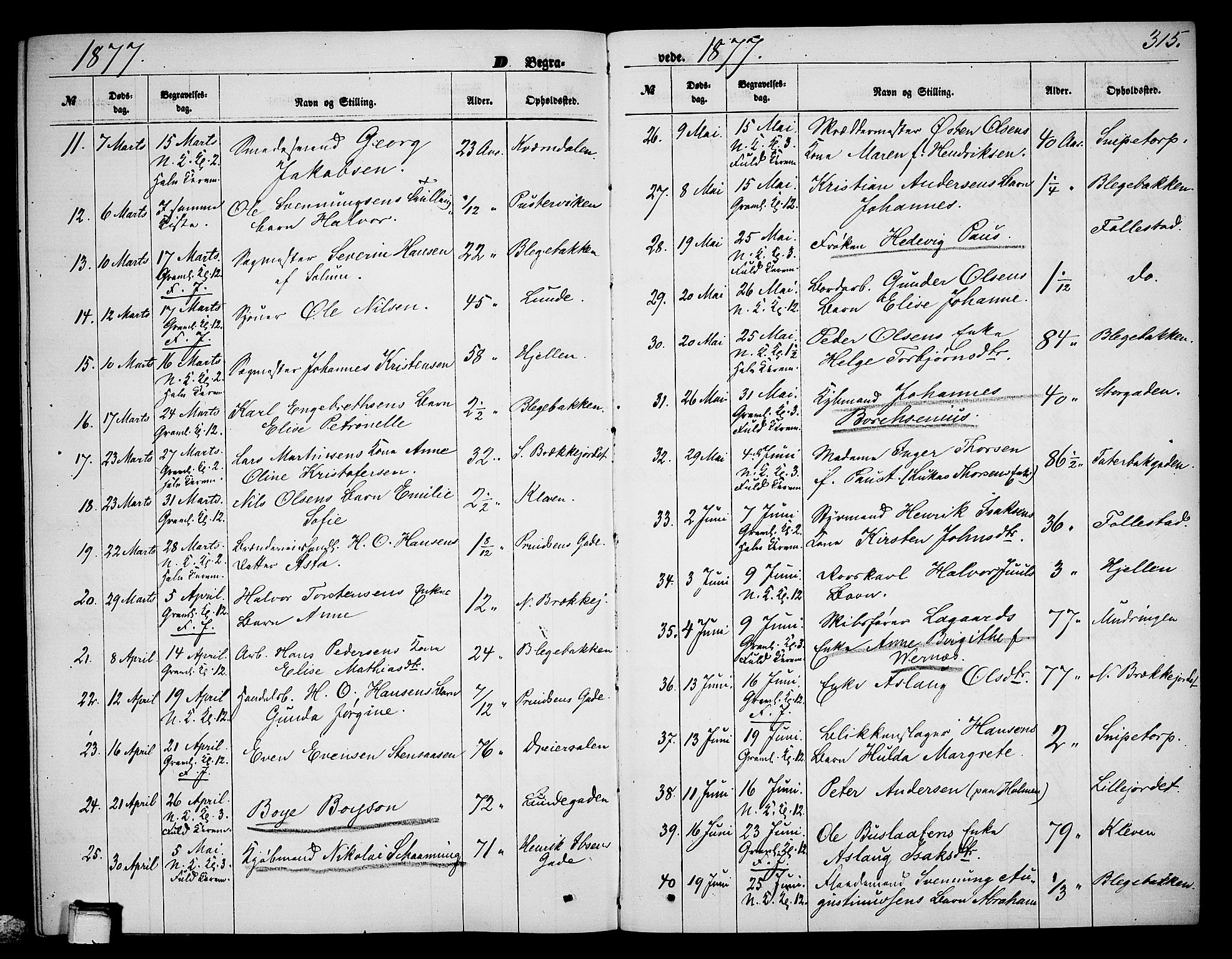 Skien kirkebøker, AV/SAKO-A-302/G/Ga/L0005: Parish register (copy) no. 5, 1868-1880, p. 315