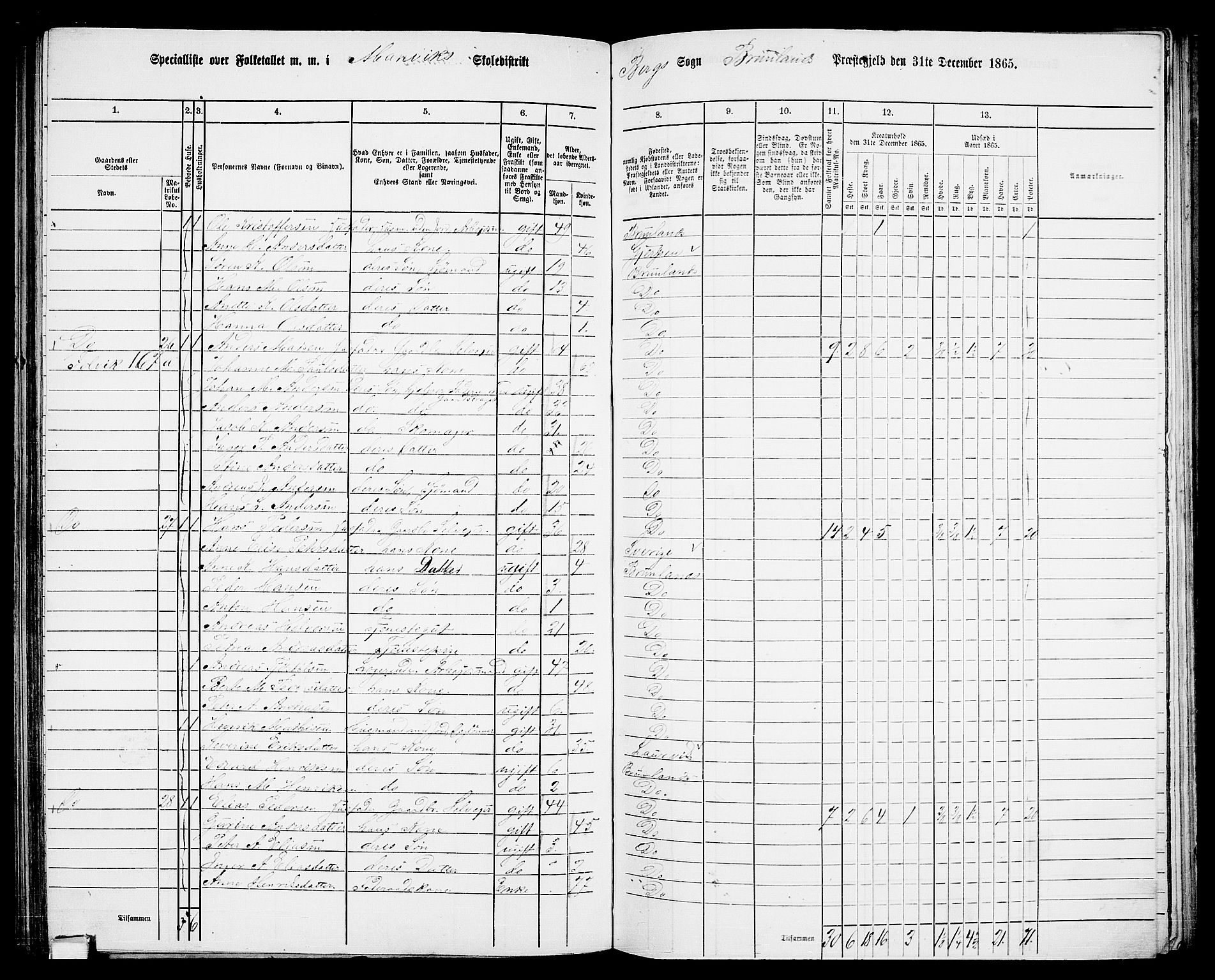 RA, 1865 census for Brunlanes, 1865, p. 136