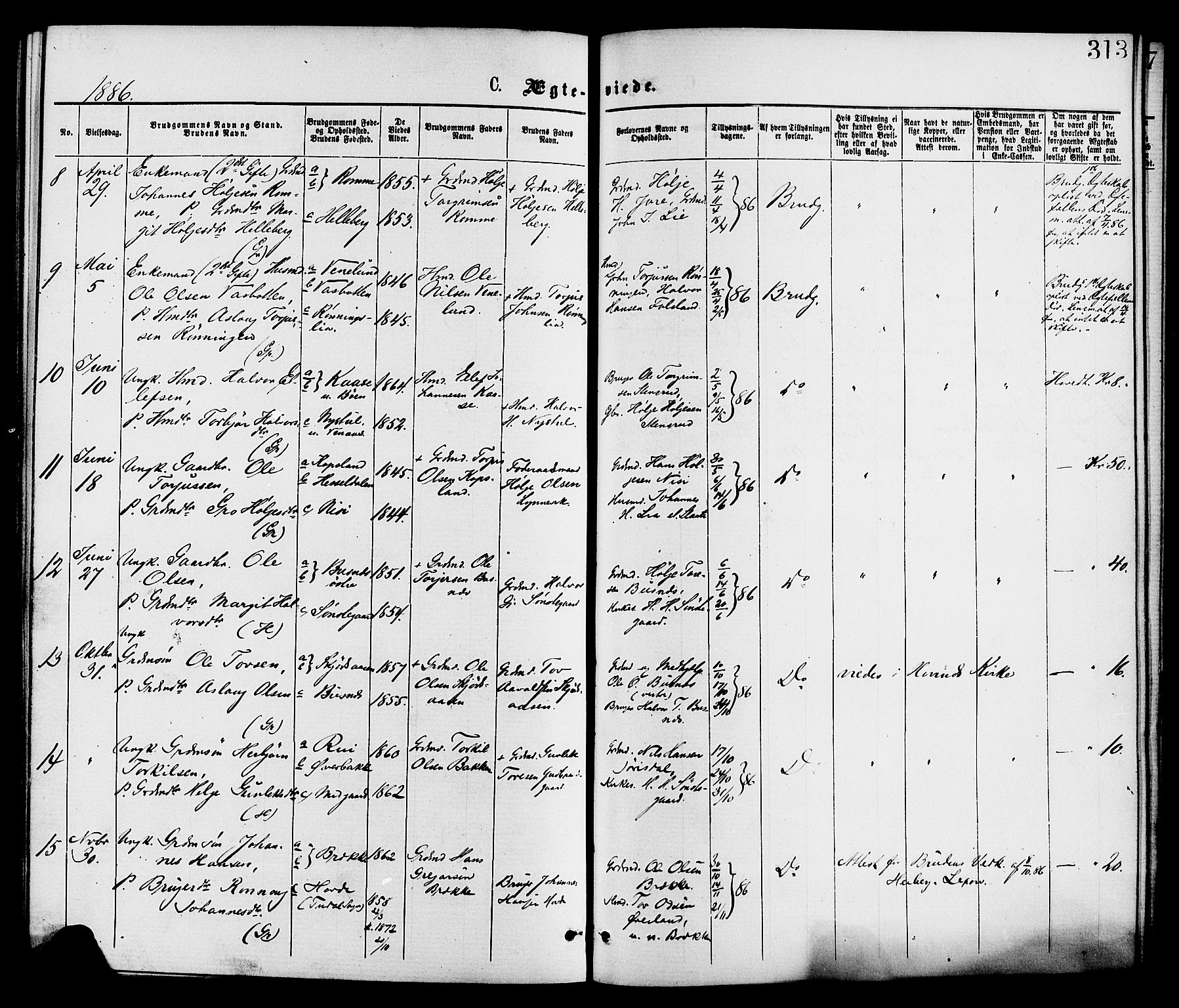 Gransherad kirkebøker, AV/SAKO-A-267/F/Fa/L0004: Parish register (official) no. I 4, 1871-1886, p. 313