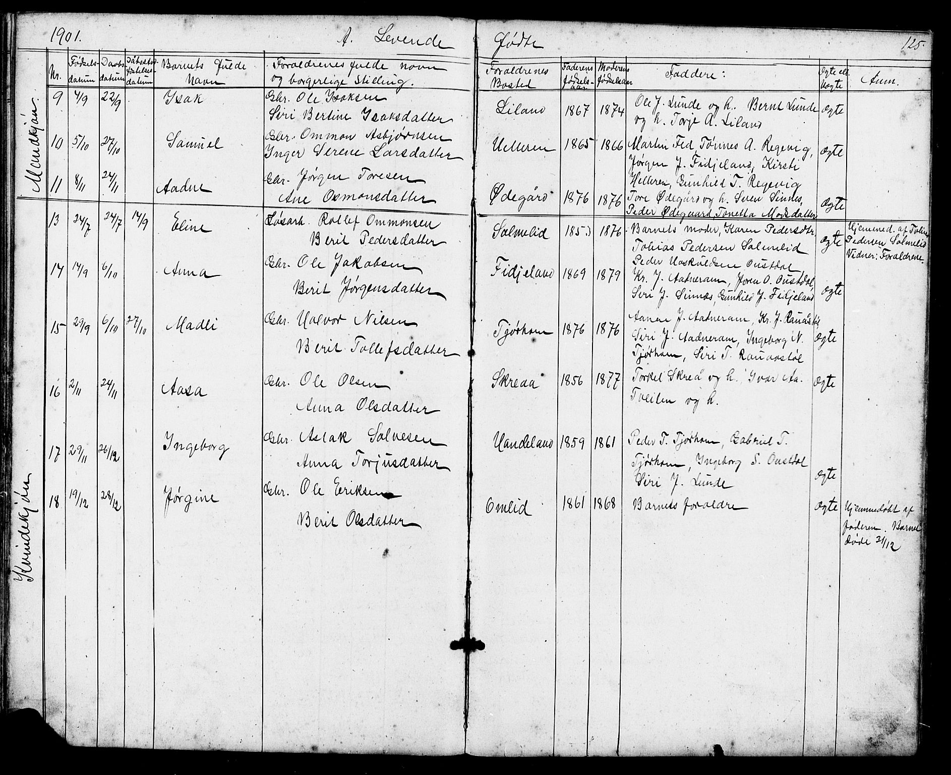 Sirdal sokneprestkontor, AV/SAK-1111-0036/F/Fb/Fba/L0001: Parish register (copy) no. B 1, 1872-1905, p. 125