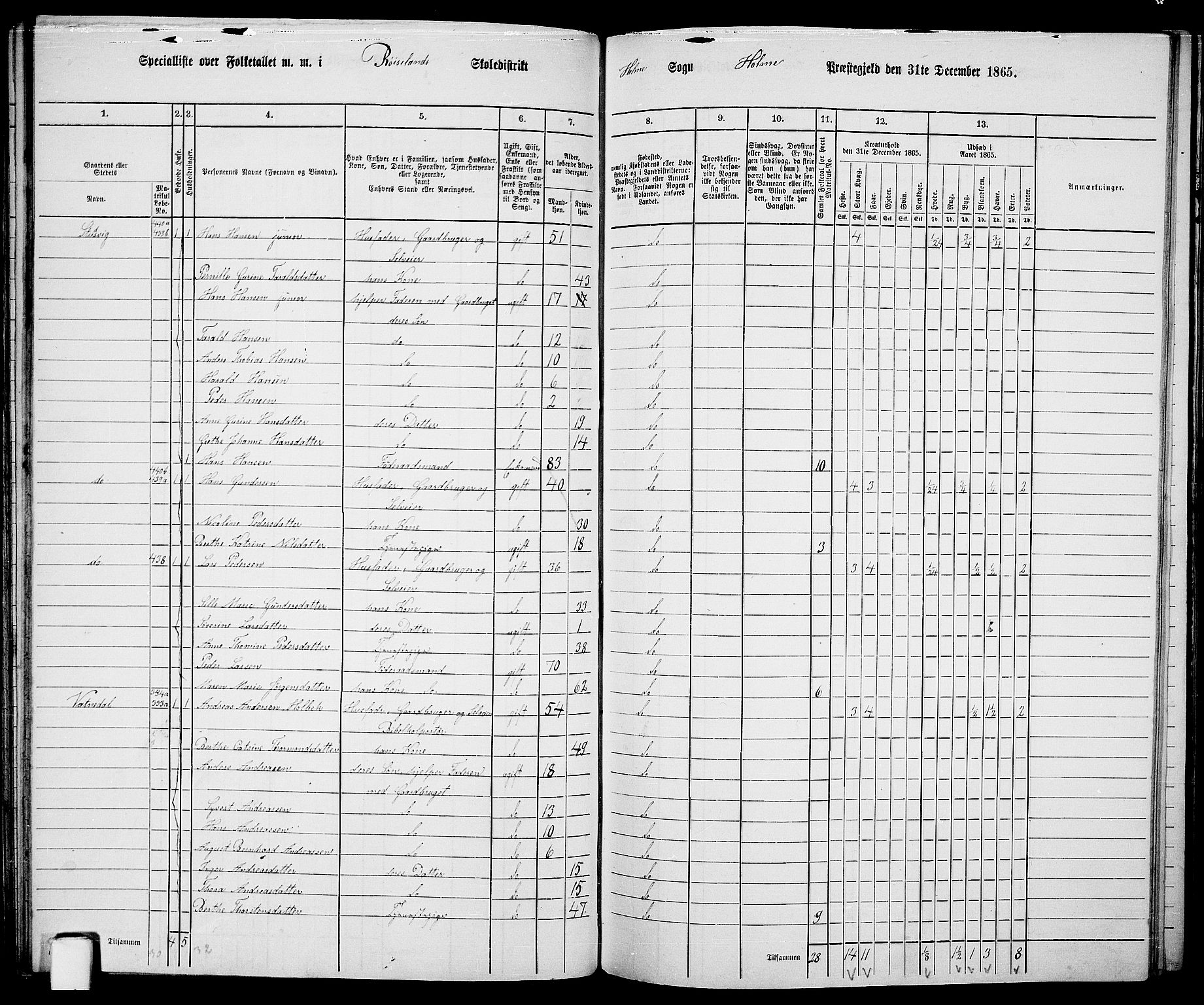 RA, 1865 census for Holum, 1865, p. 73