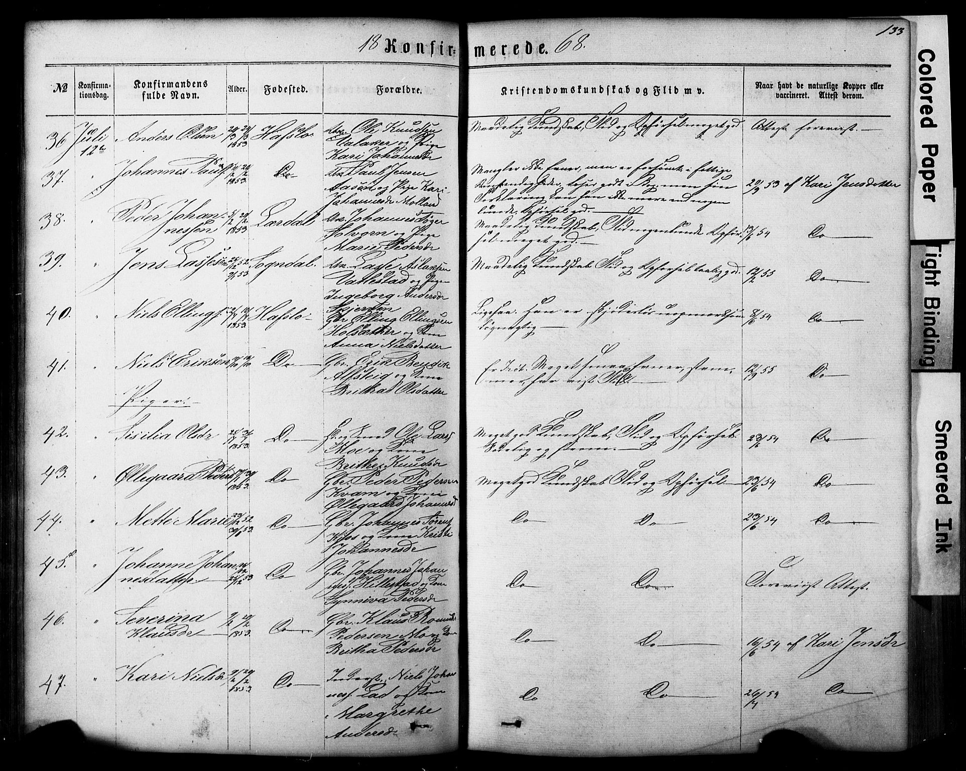 Hafslo sokneprestembete, AV/SAB-A-80301/H/Hab/Haba/L0001: Parish register (copy) no. A 1, 1866-1908, p. 133