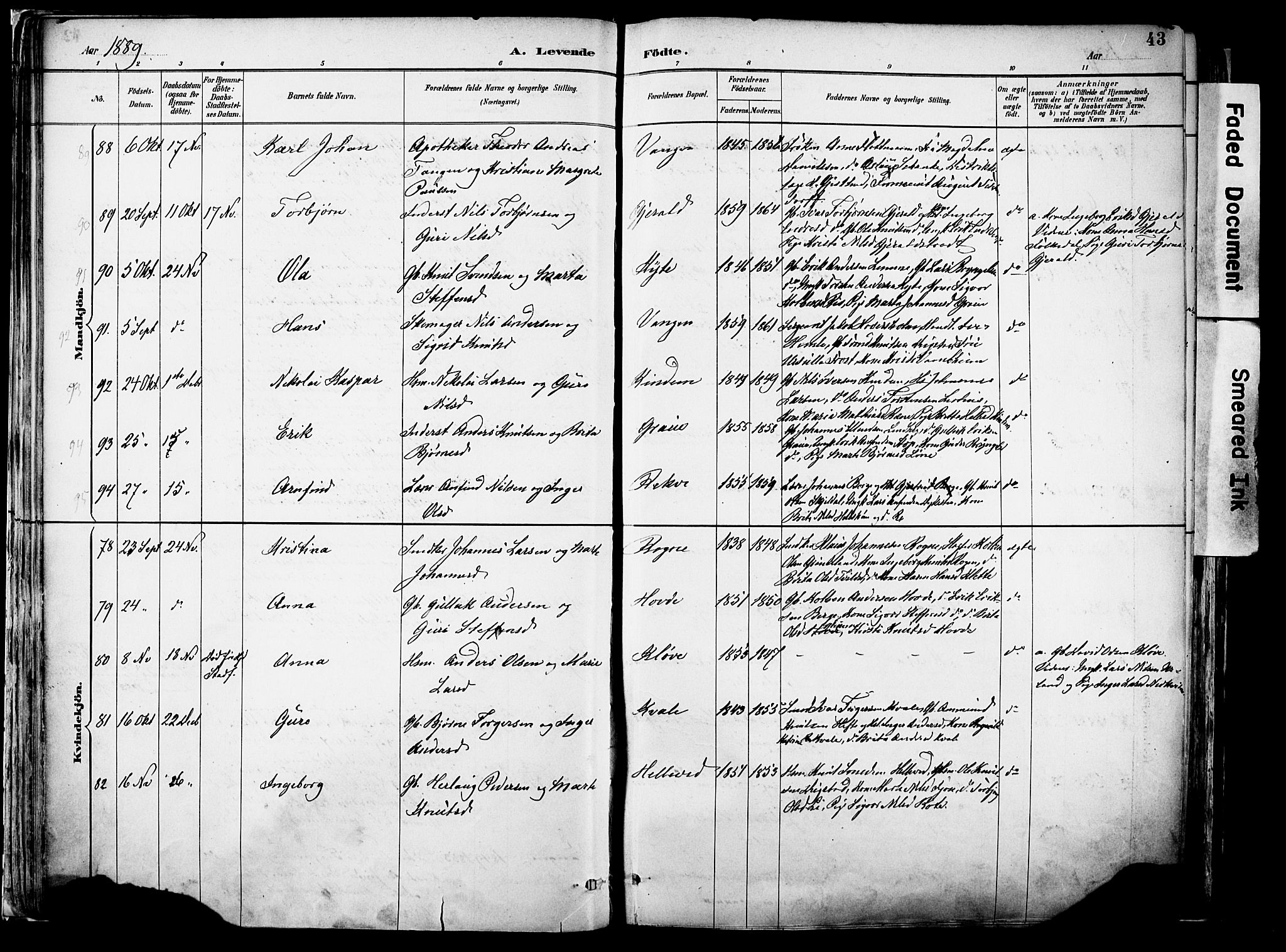 Voss sokneprestembete, AV/SAB-A-79001/H/Haa: Parish register (official) no. A 21, 1887-1903, p. 43