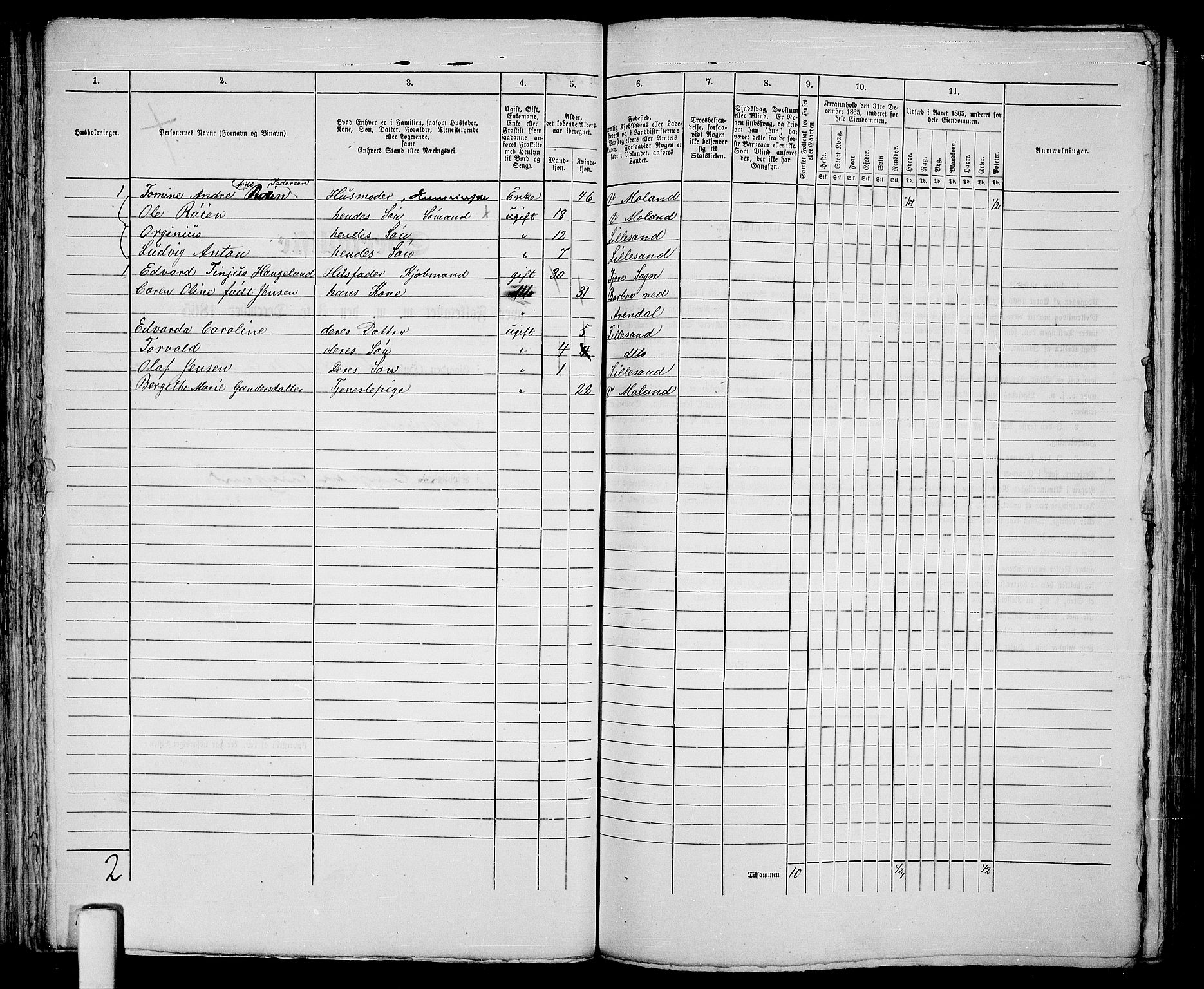 RA, 1865 census for Vestre Moland/Lillesand, 1865, p. 91