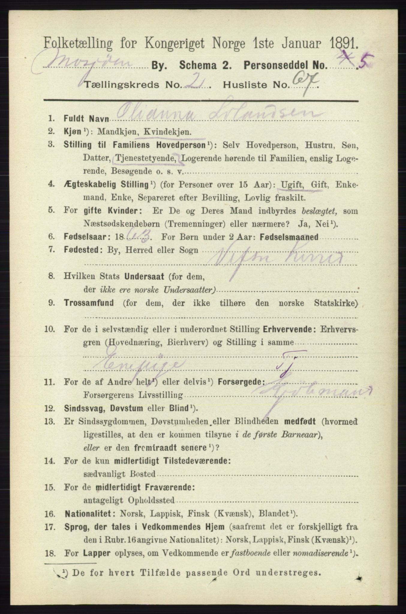 RA, 1891 census for 1802 Mosjøen, 1891, p. 1123