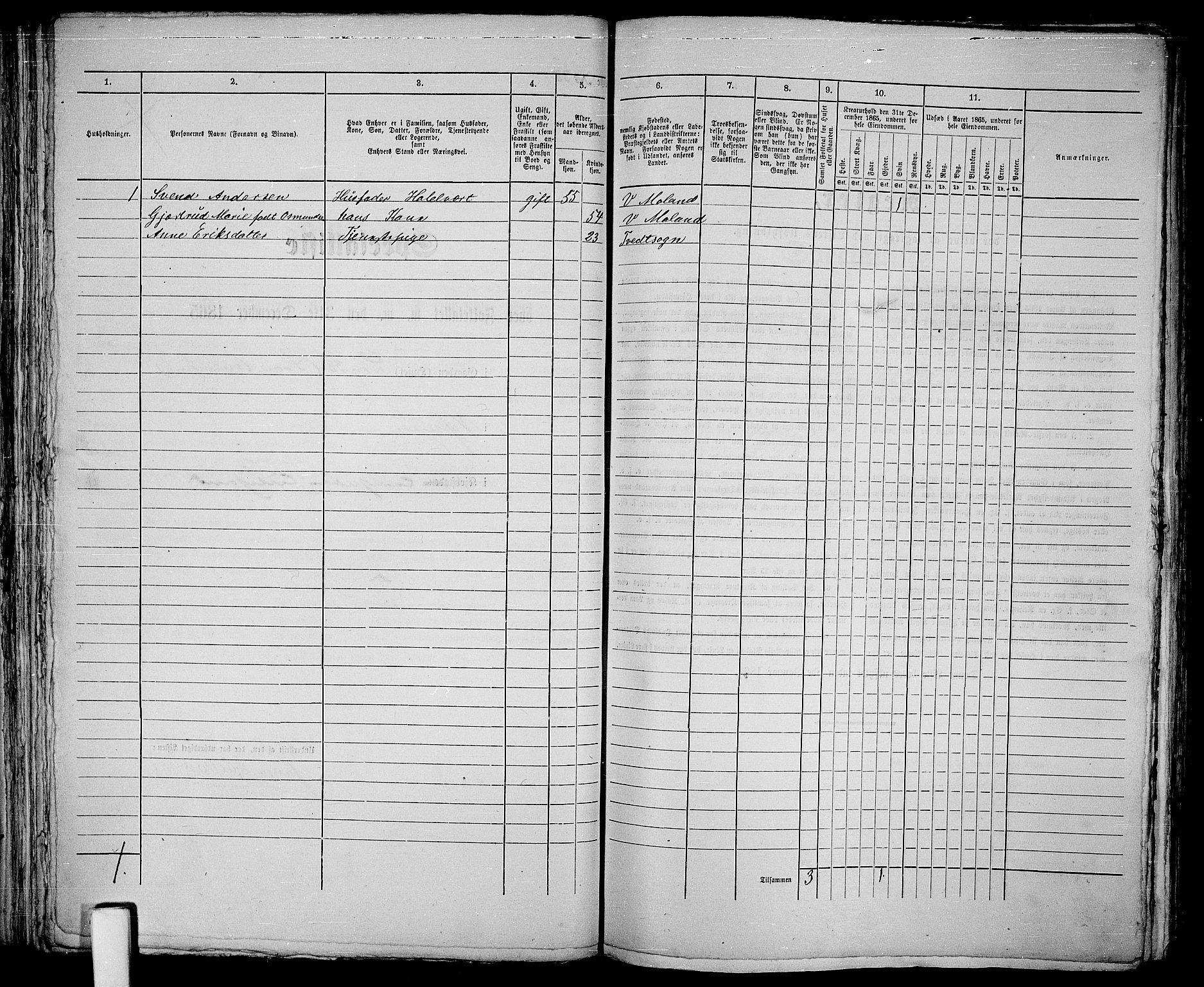 RA, 1865 census for Vestre Moland/Lillesand, 1865, p. 85