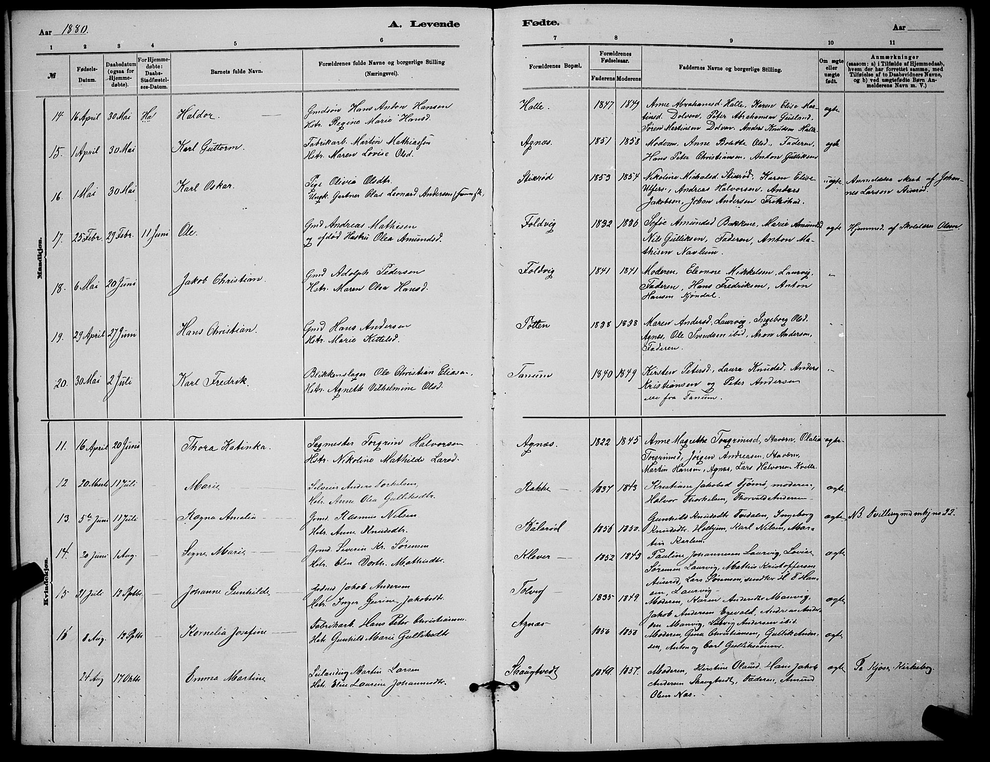 Brunlanes kirkebøker, AV/SAKO-A-342/G/Ga/L0003: Parish register (copy) no. I 3, 1877-1898