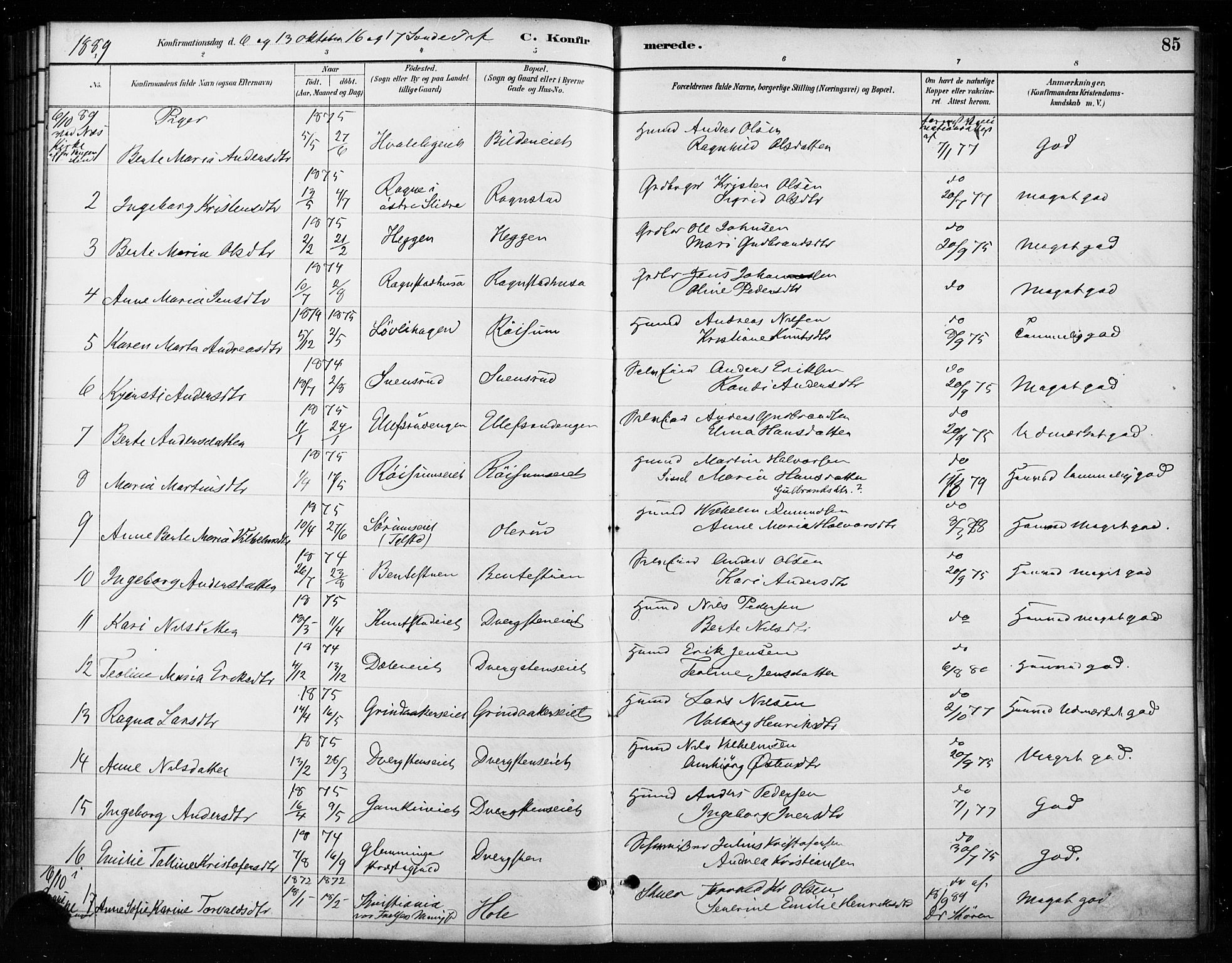 Gran prestekontor, AV/SAH-PREST-112/H/Ha/Haa/L0018: Parish register (official) no. 18, 1889-1899, p. 85