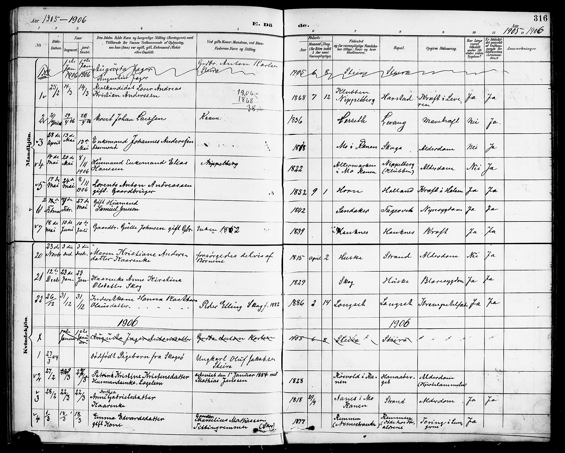 Ministerialprotokoller, klokkerbøker og fødselsregistre - Nordland, SAT/A-1459/838/L0559: Parish register (copy) no. 838C06, 1893-1910, p. 316