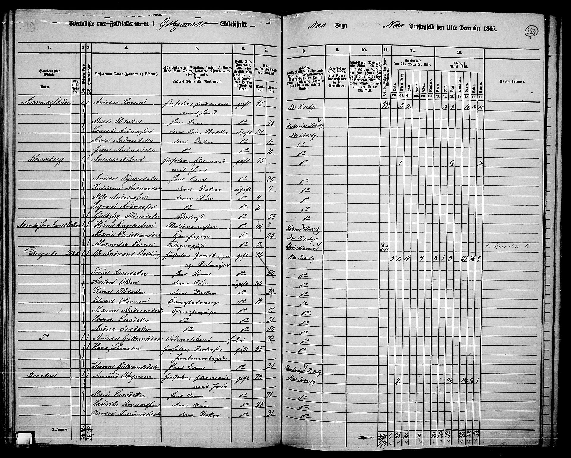 RA, 1865 census for Nes, 1865, p. 298