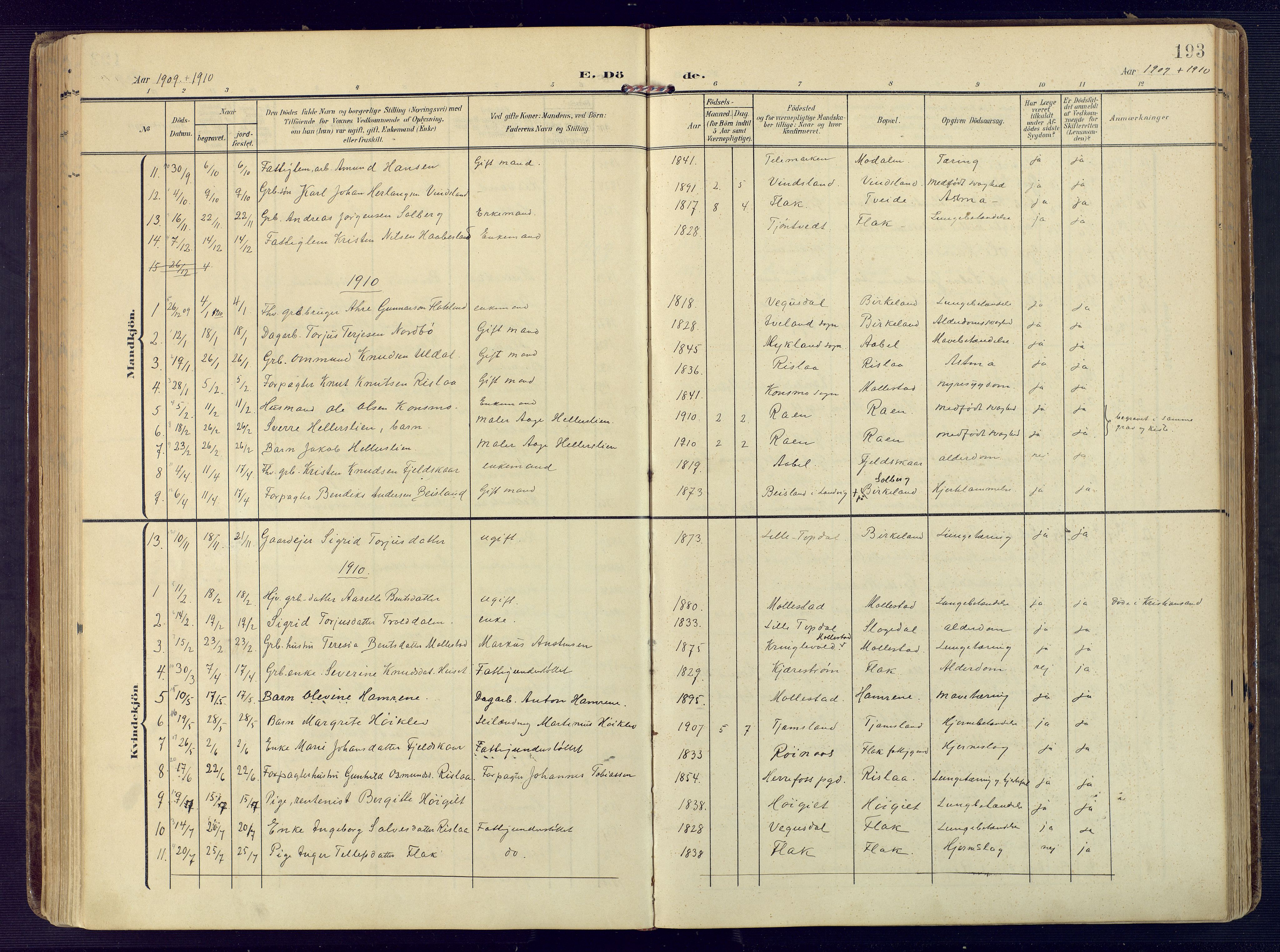 Birkenes sokneprestkontor, SAK/1111-0004/F/Fa/L0006: Parish register (official) no. A 6, 1908-1932, p. 193
