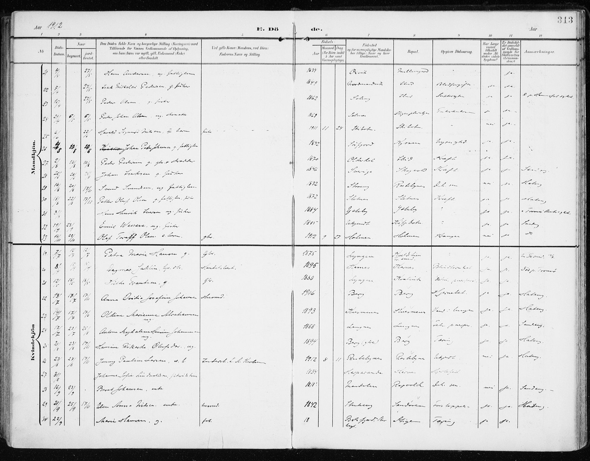 Lyngen sokneprestembete, AV/SATØ-S-1289/H/He/Hea/L0011kirke: Parish register (official) no. 11, 1903-1913, p. 313