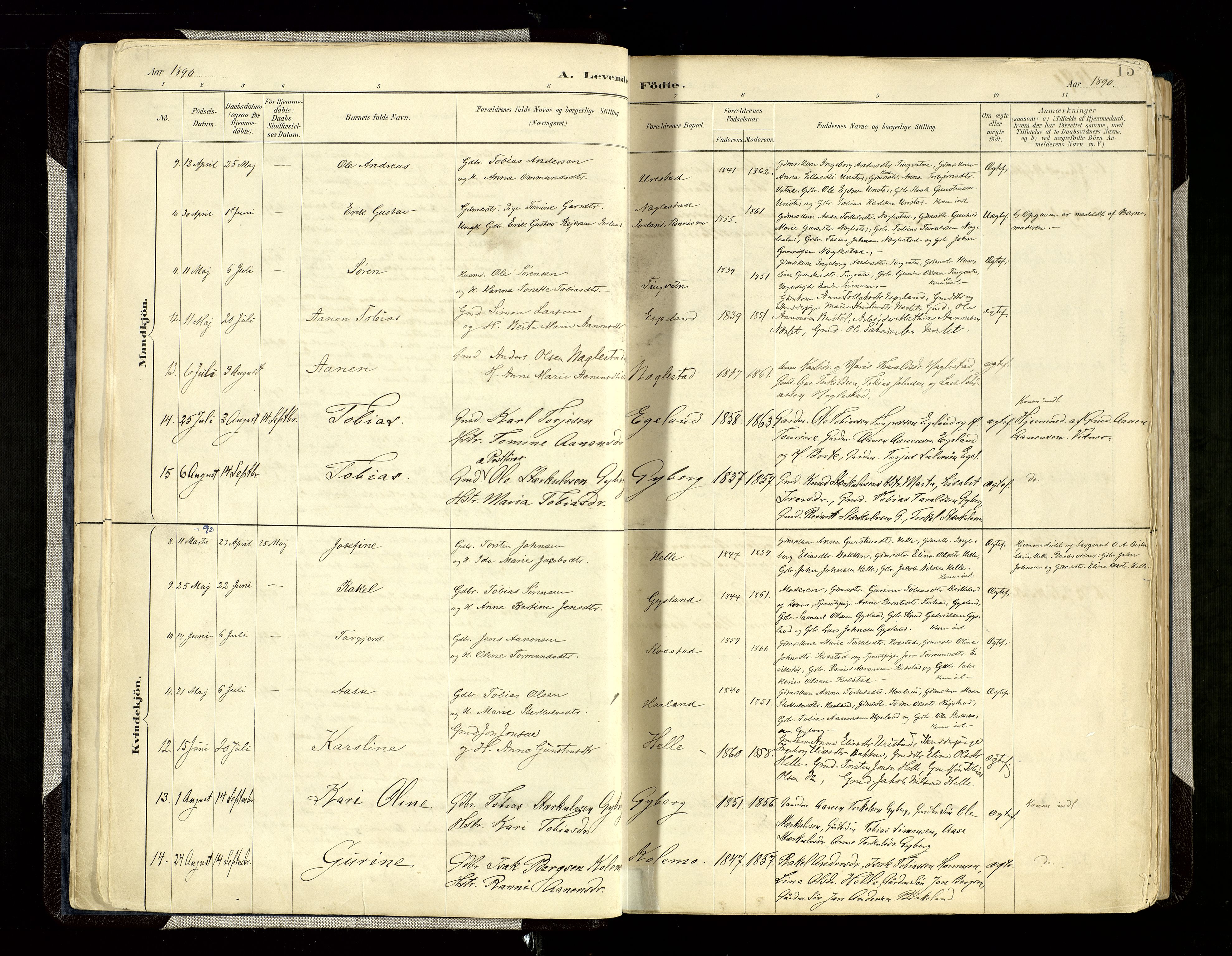 Hægebostad sokneprestkontor, AV/SAK-1111-0024/F/Fa/Faa/L0006: Parish register (official) no. A 6, 1887-1929, p. 15