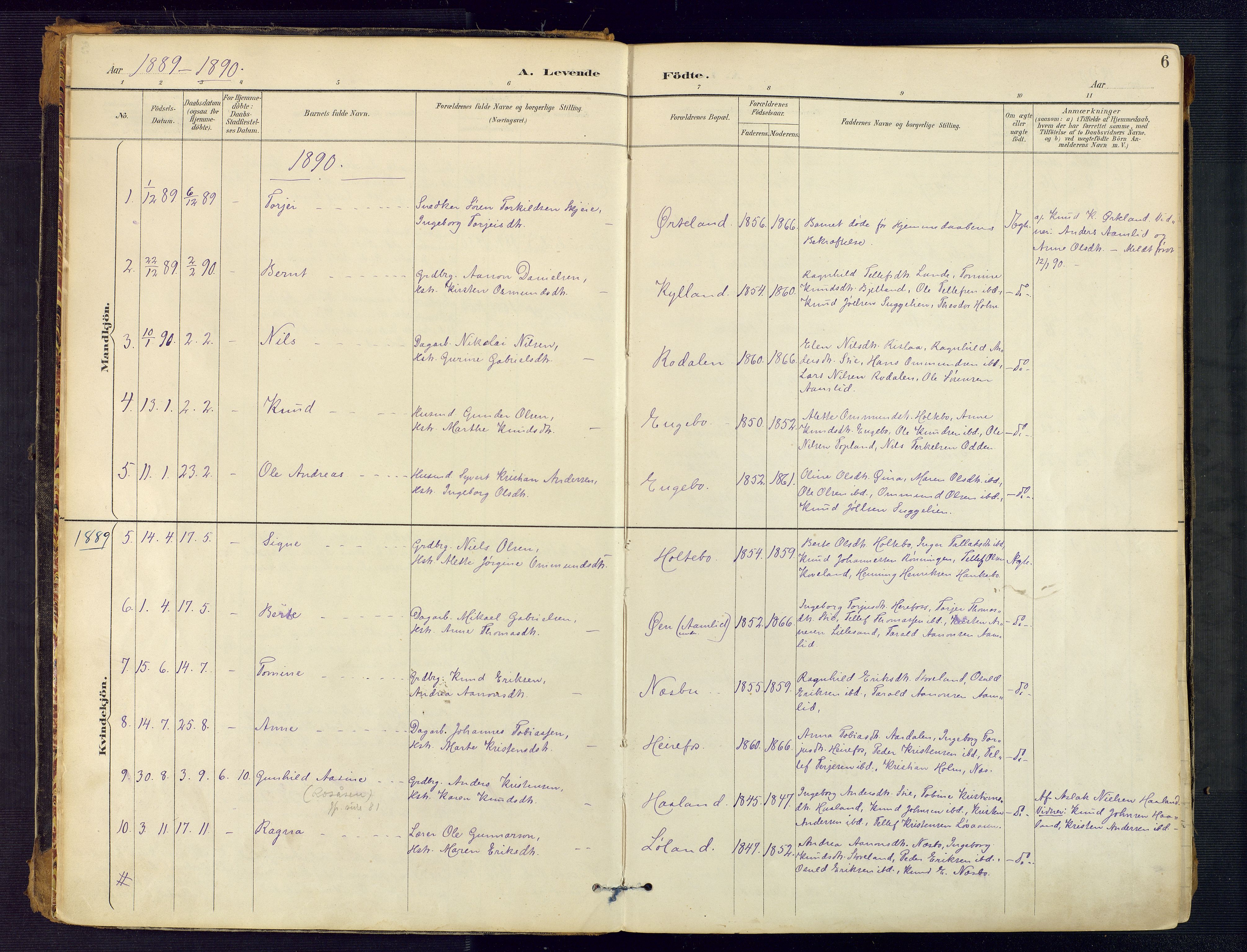 Herefoss sokneprestkontor, SAK/1111-0019/F/Fa/Faa/L0003: Parish register (official) no. A 3, 1887-1930, p. 6